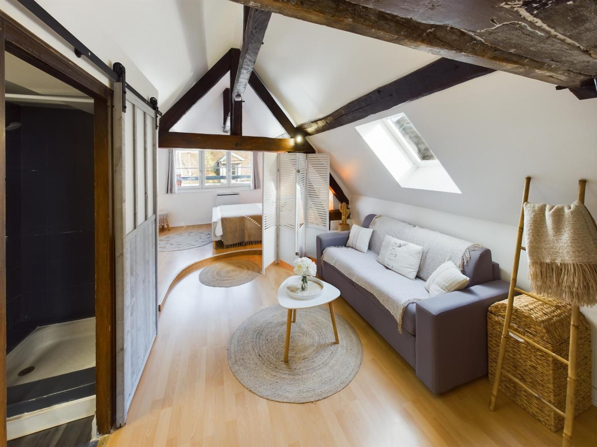Superior Apartment