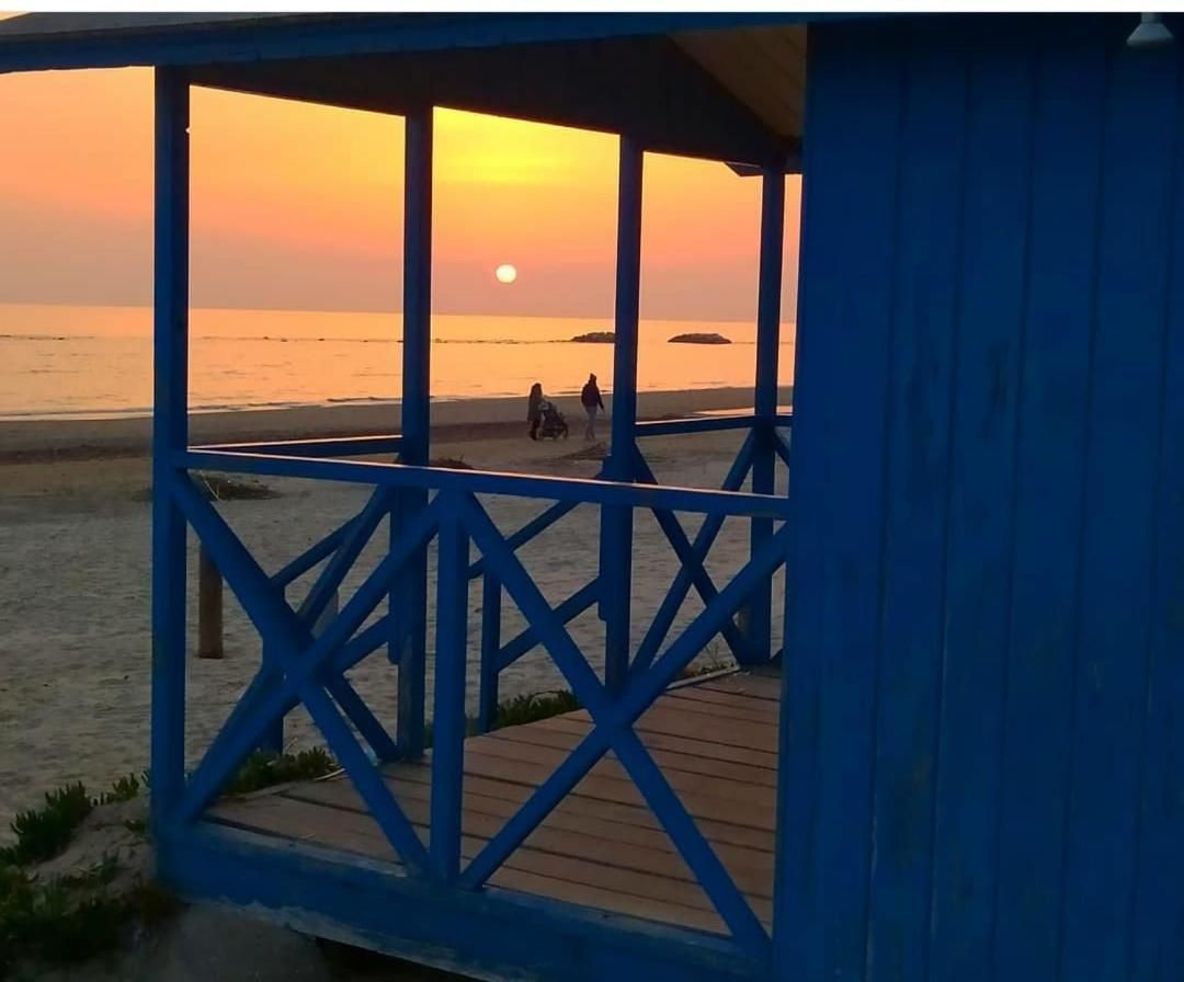 camera con terrazza vicino al mare e pineta