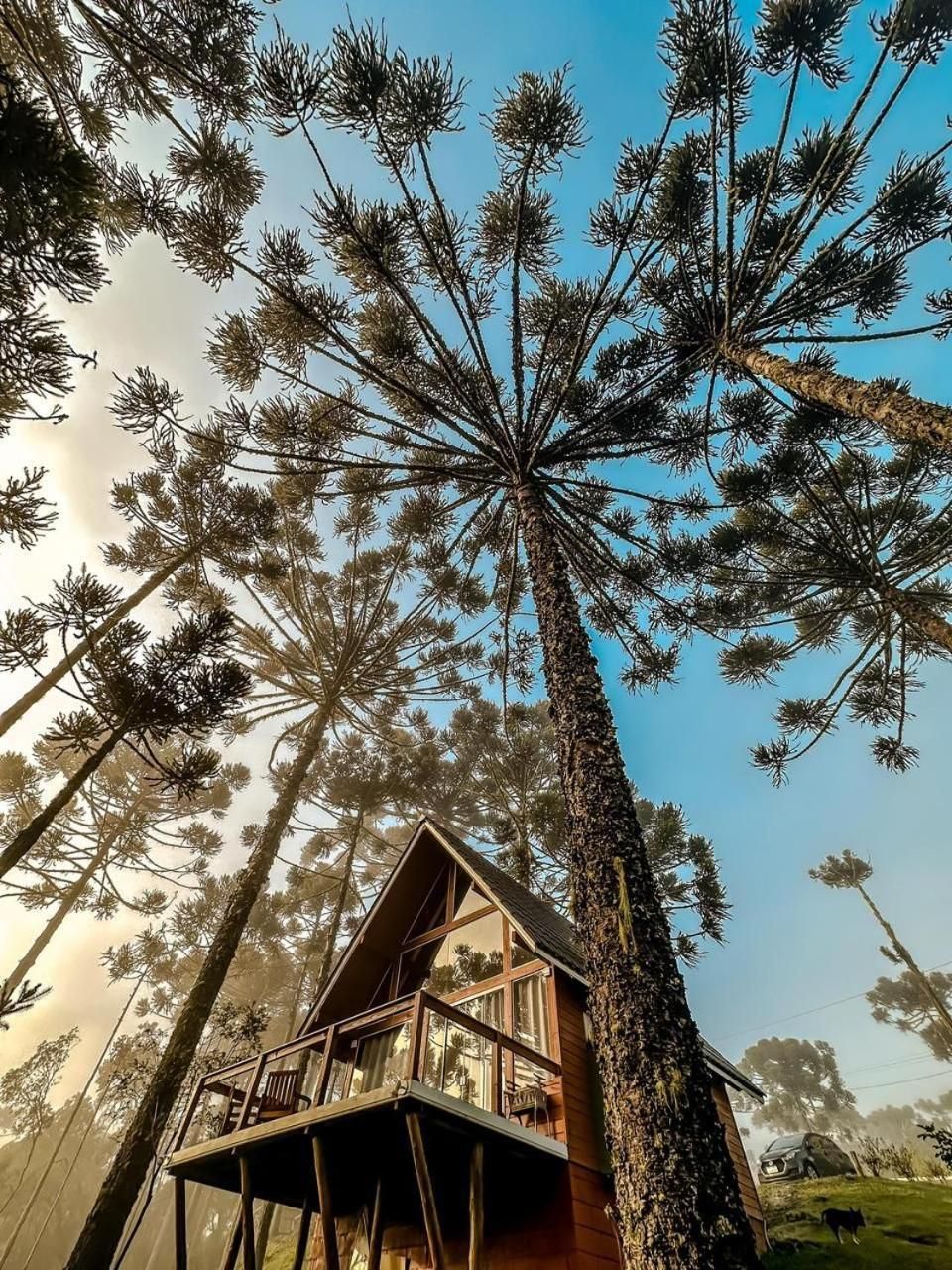 One-Bedroom Chalet