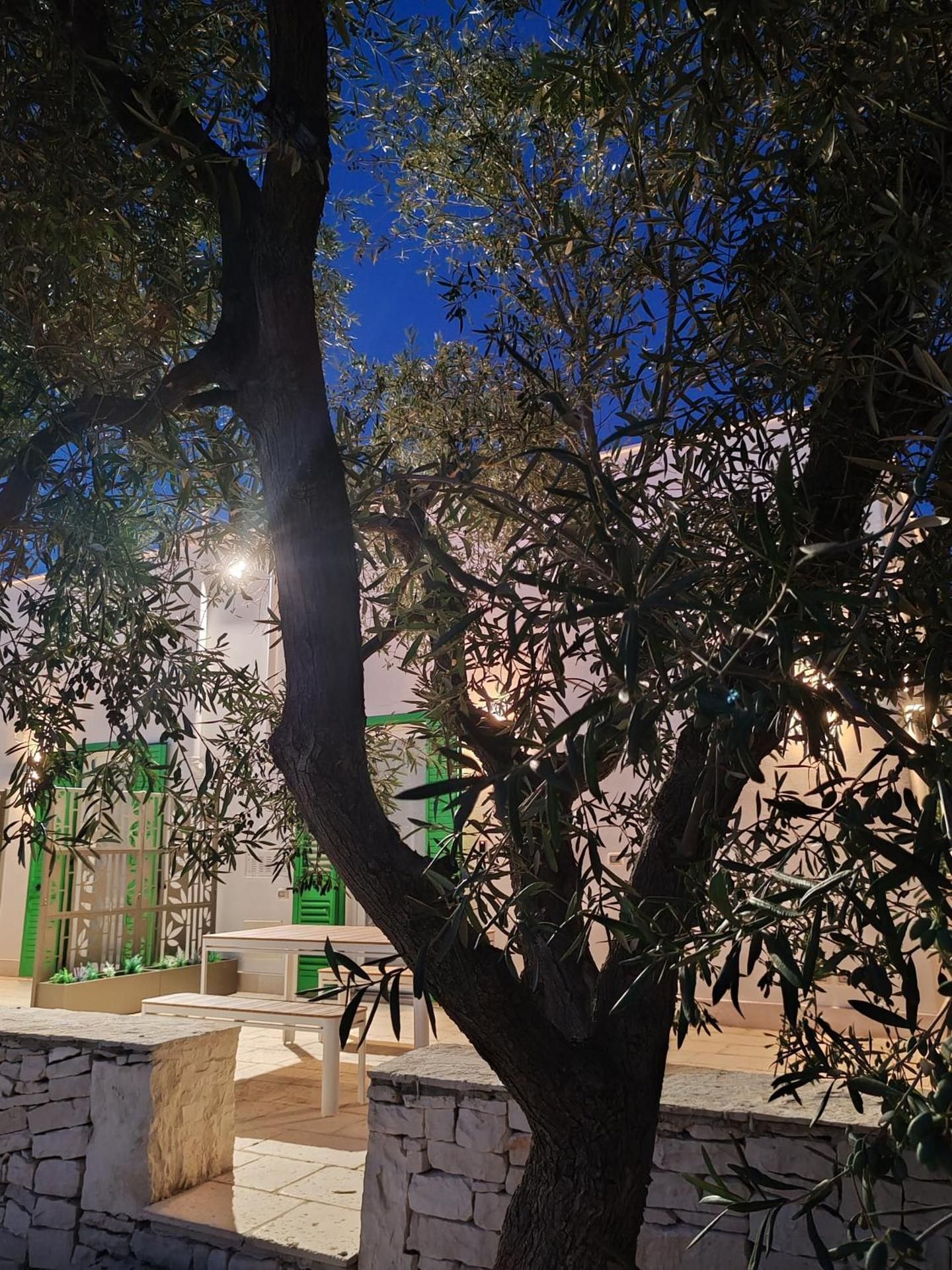 Domus de Palma