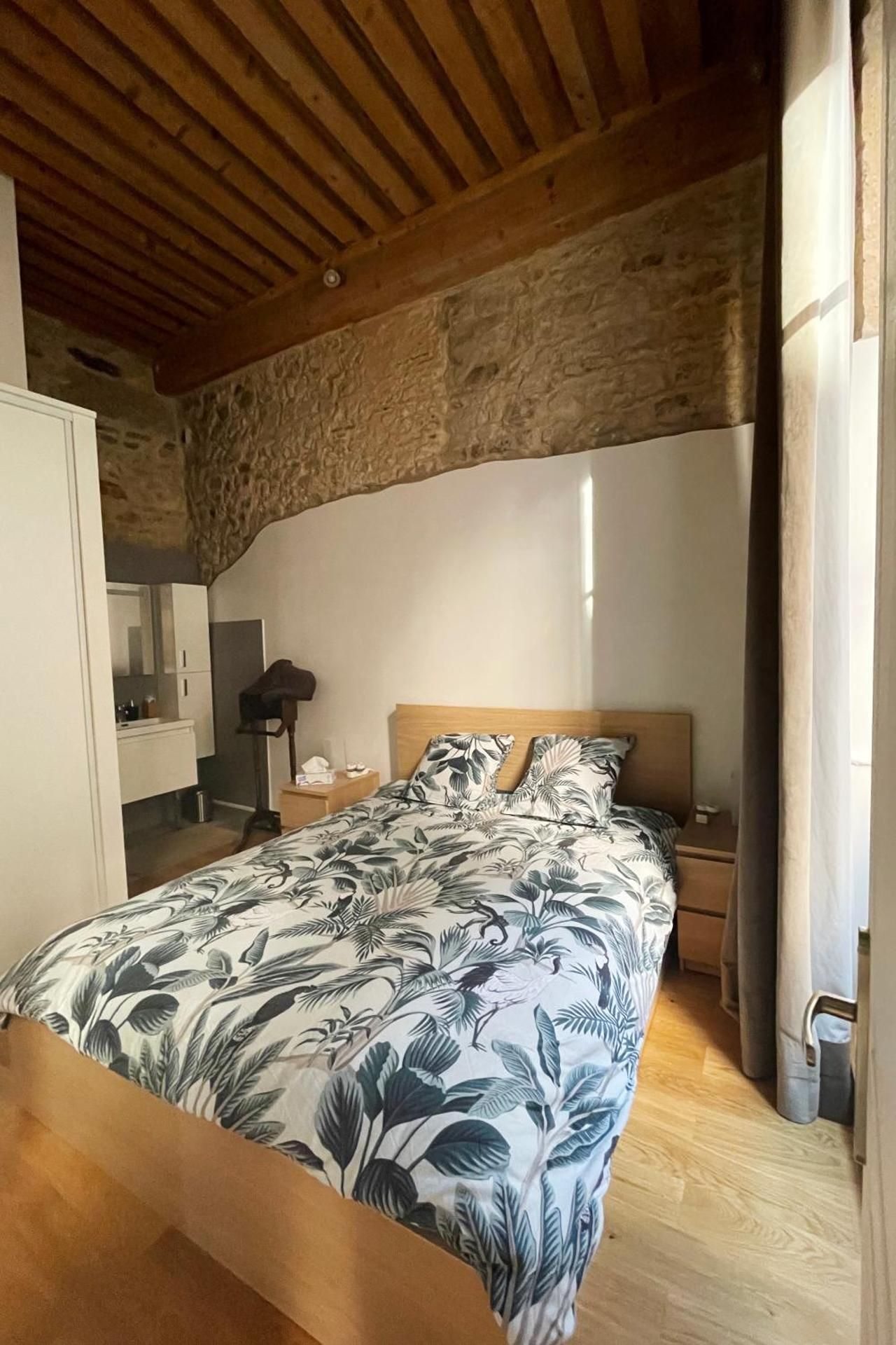 Coeur Vieux Lyon, 60 M2 lumineux tout confort Double Room 2