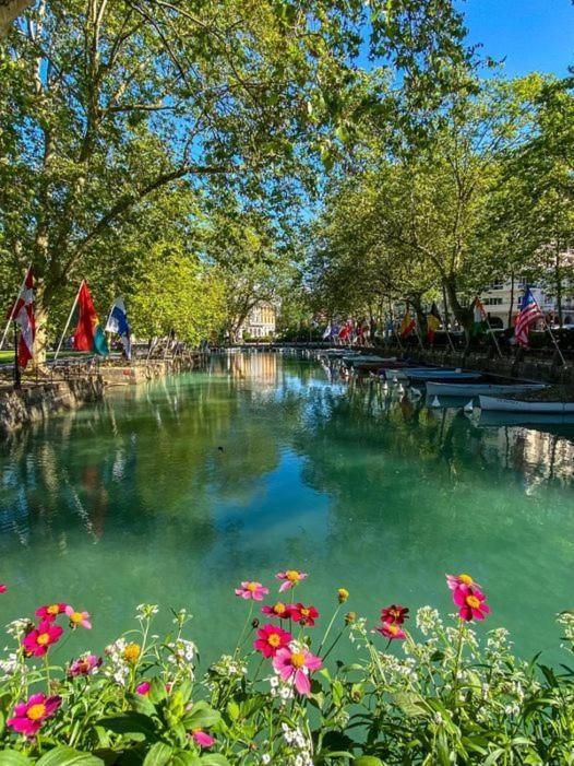 surrounding environment