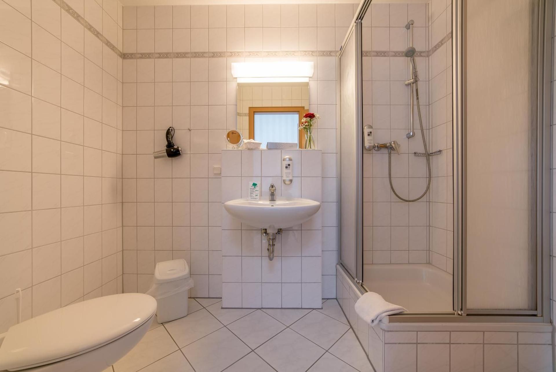 Large One-Room Apartment