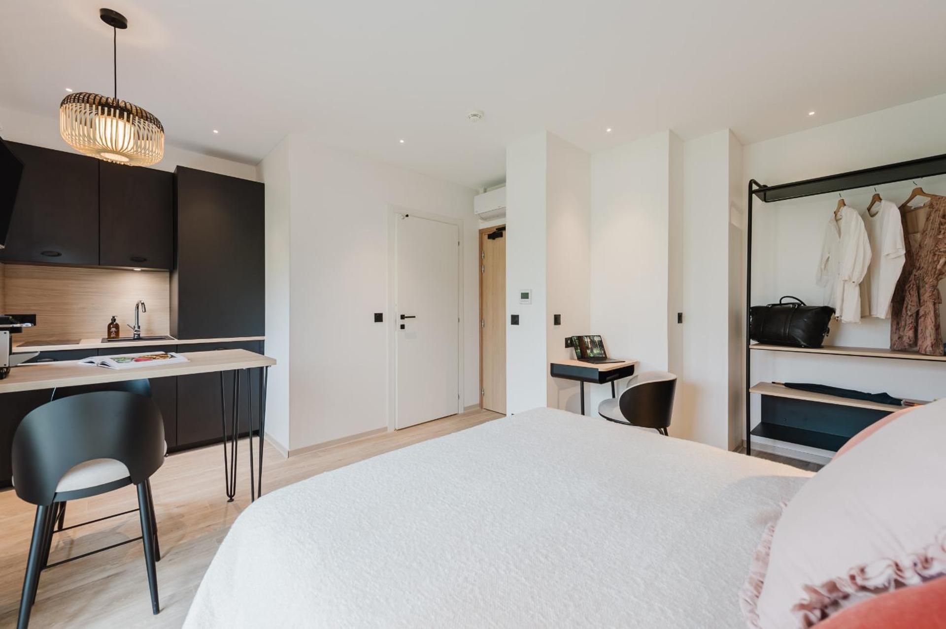 Deluxe One-Bedroom Apartment