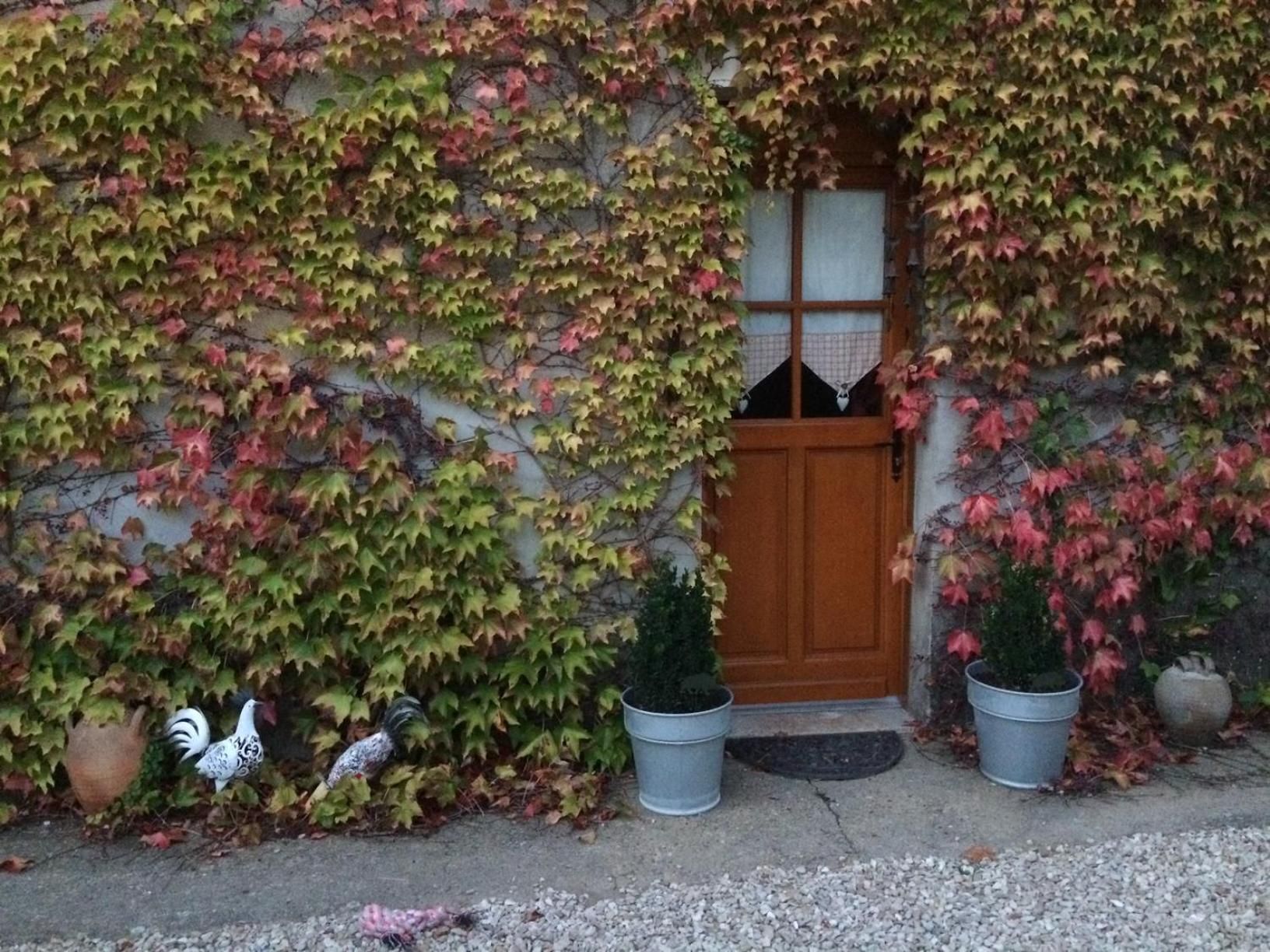 Chambres d'hotes d'Albertine