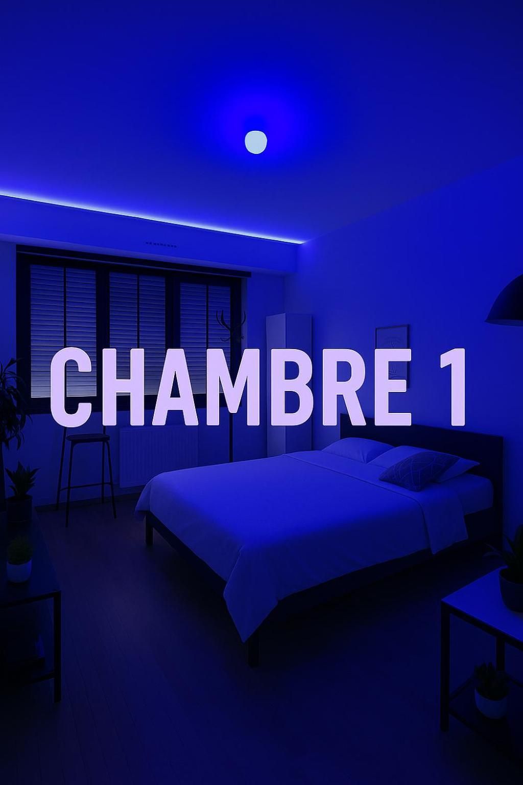 Large Double Room