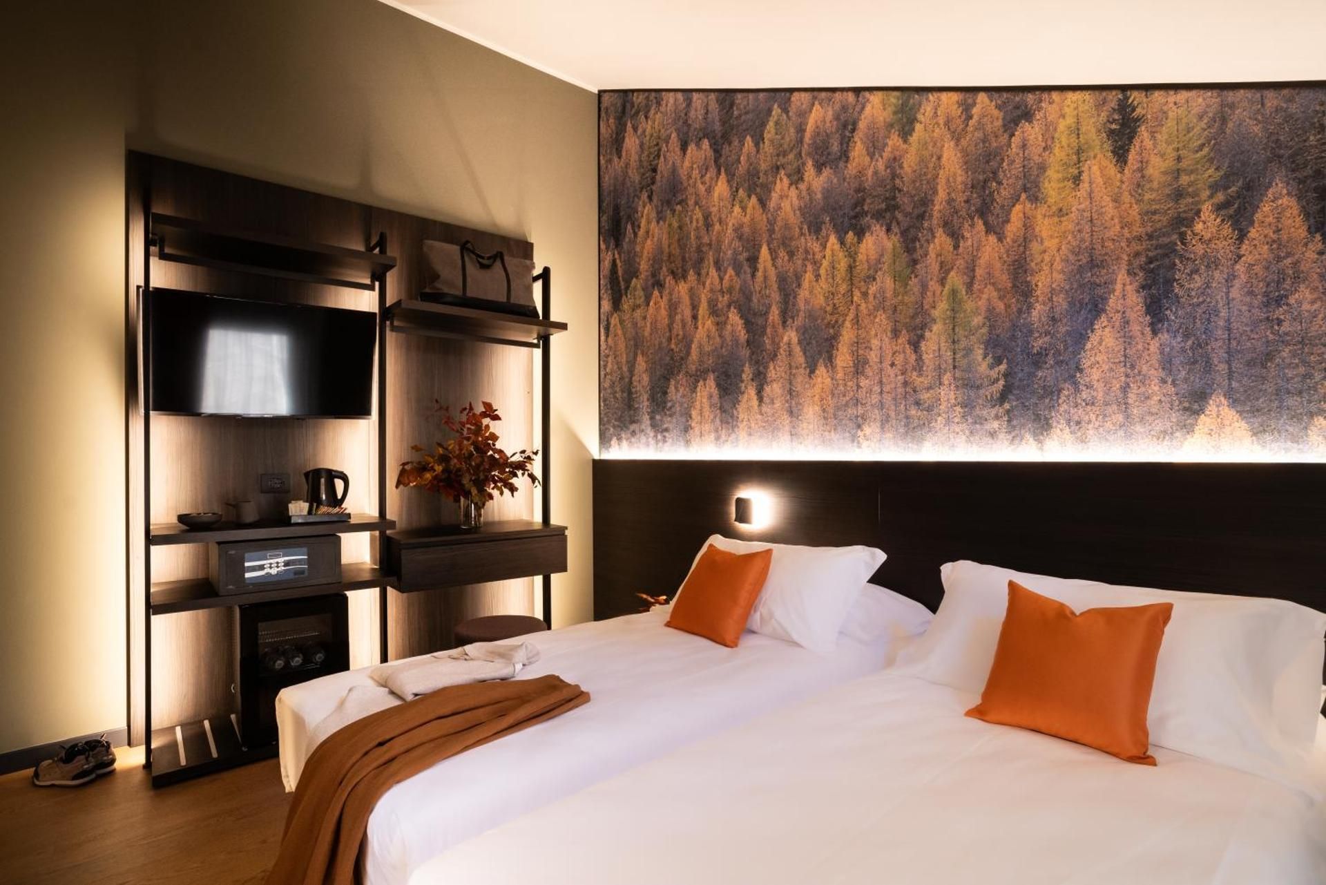 Deluxe Double or Twin Room