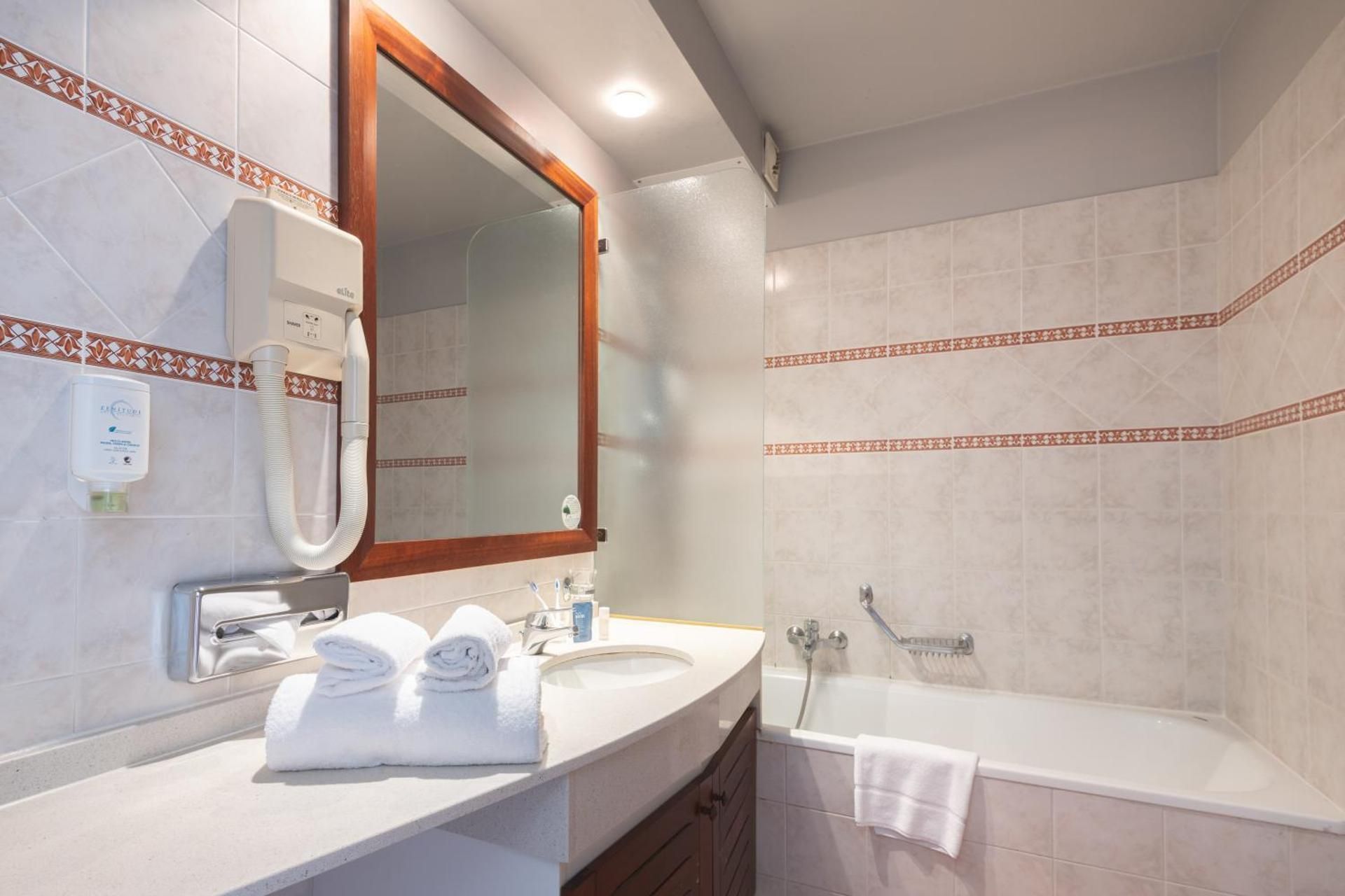 Studio twin Room with Pool View