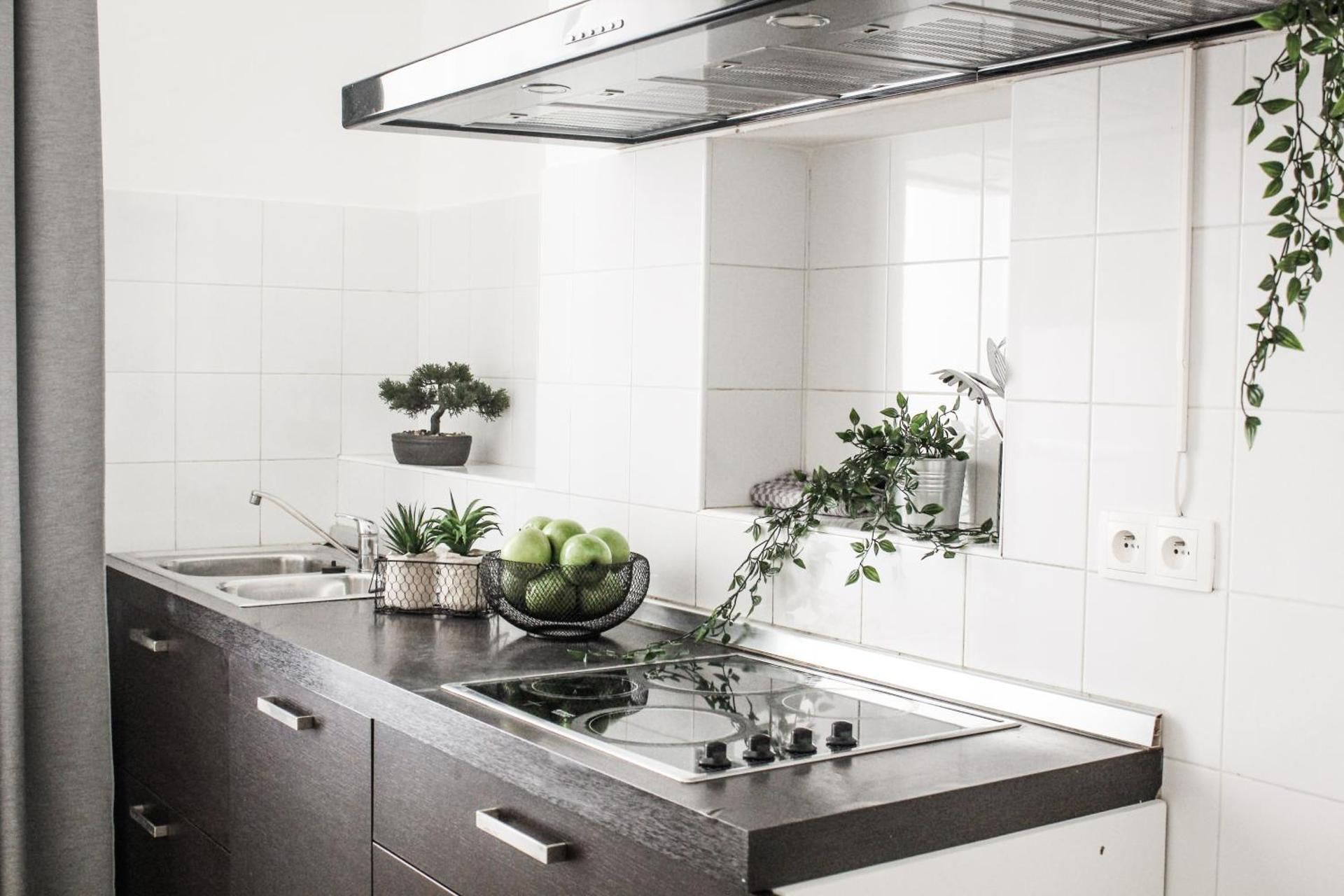 PAGNOL - One-Bedroom Apartment
