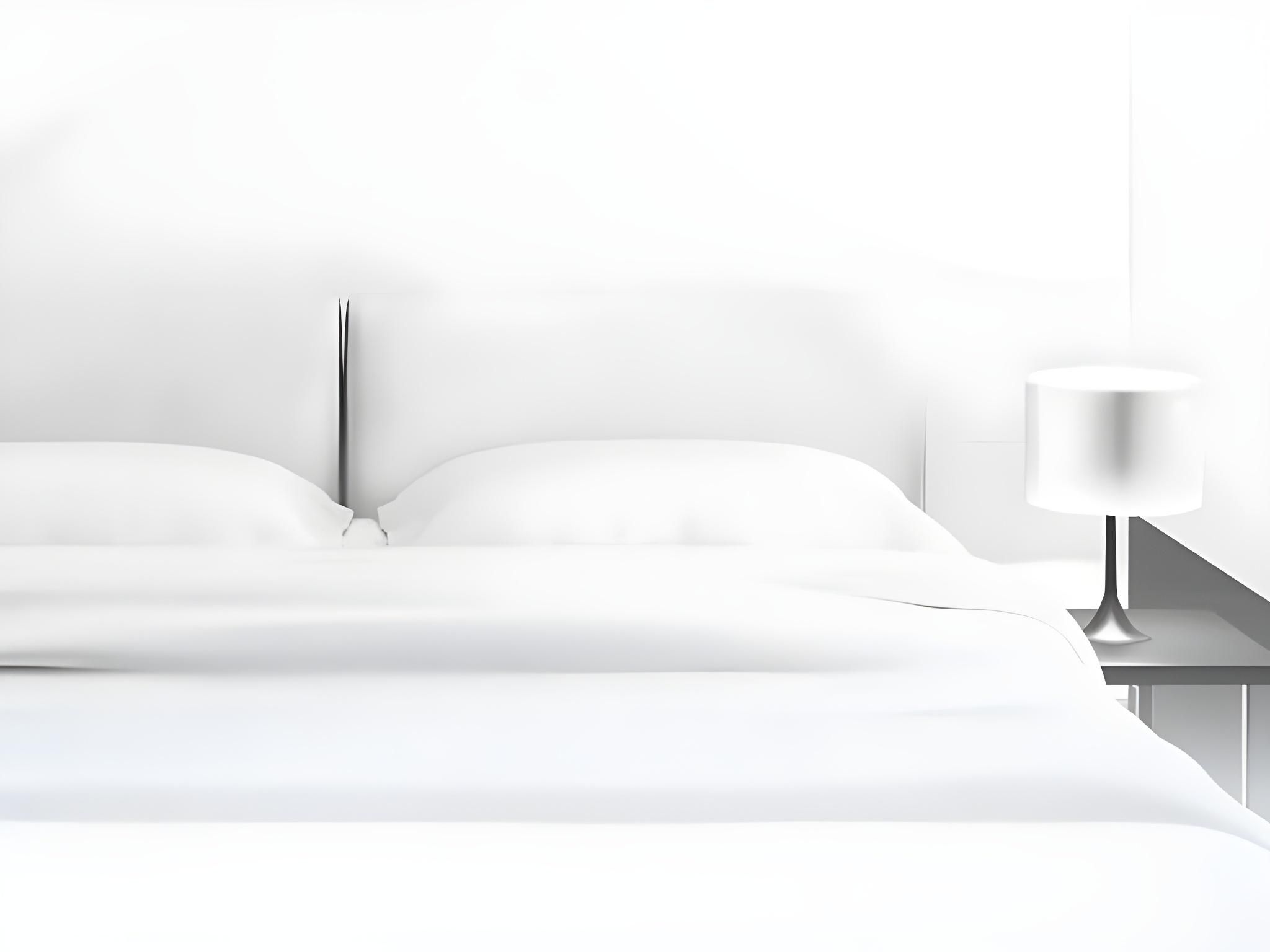 Hotel Toulouse Canal Du Midi Standard Room with 2 Single Beds