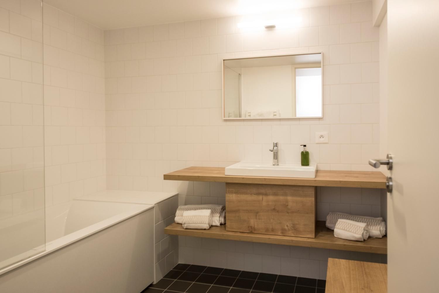 1-Bedroom Apartment Classic