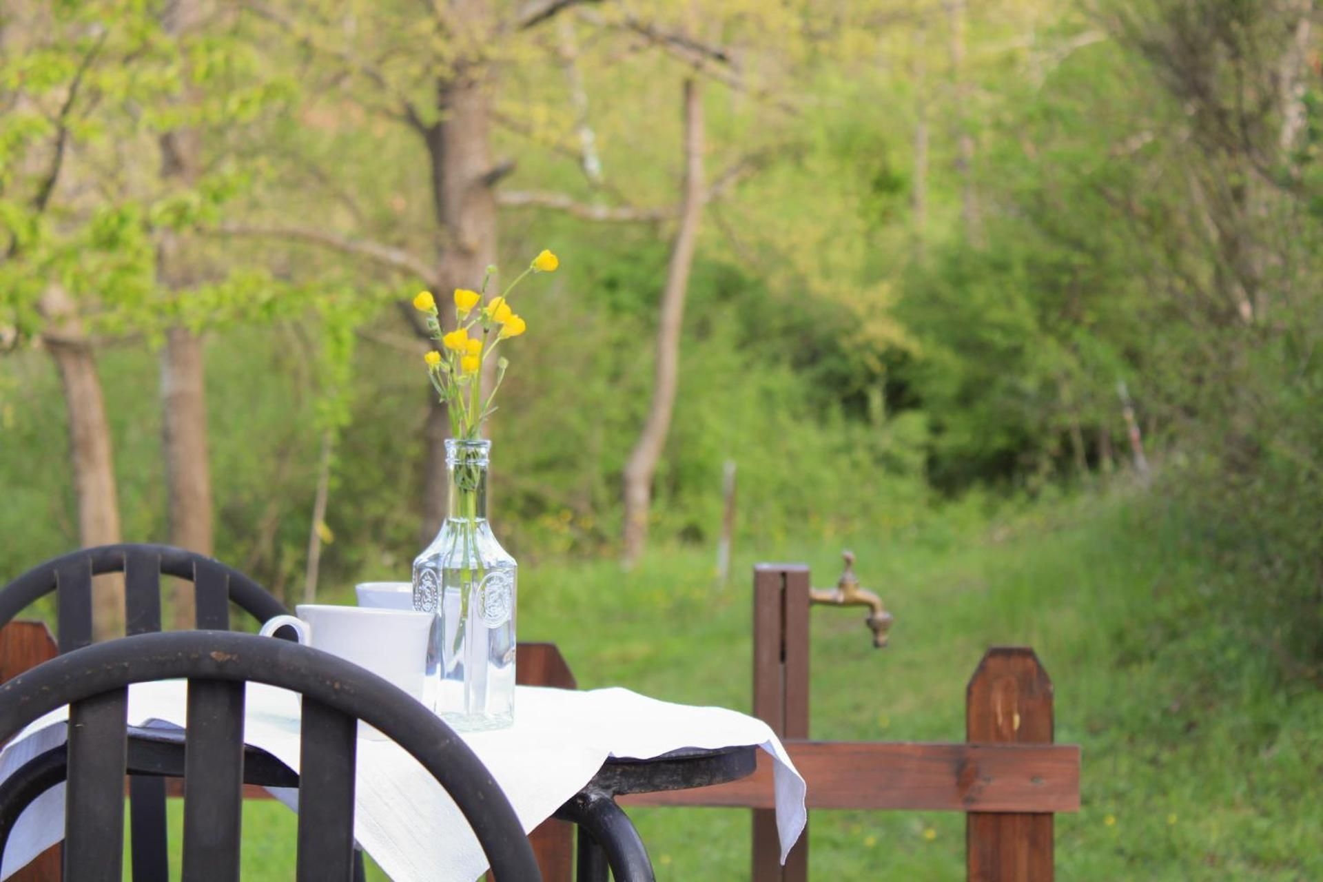 Oak Tree Ranch
