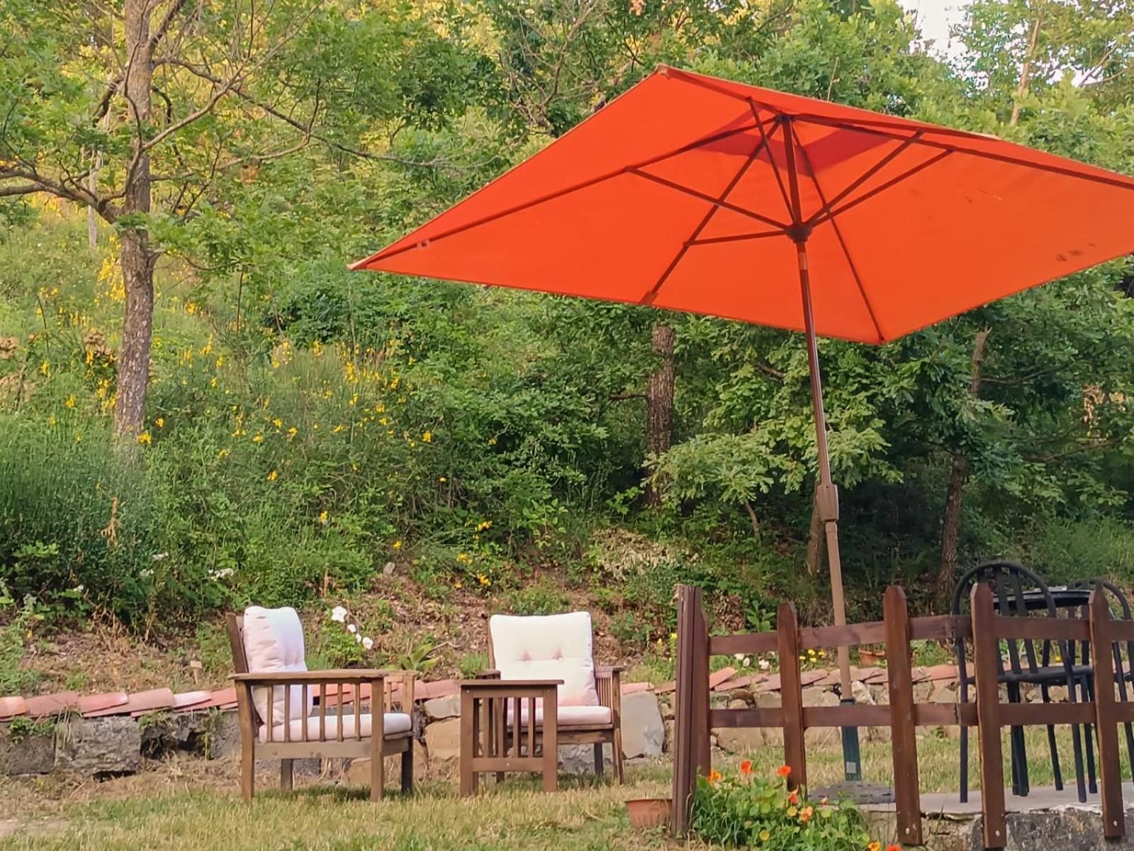 Oak Tree Ranch