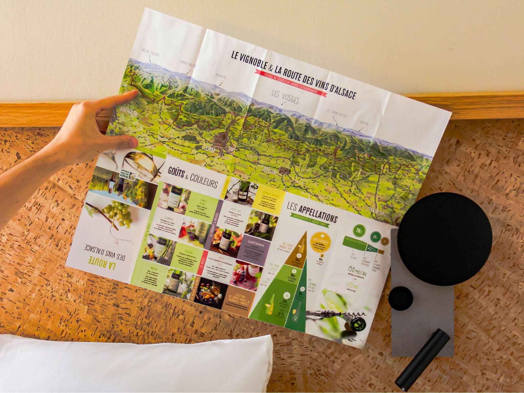 greet Hotel Colmar Pop room with 1 double bed 2