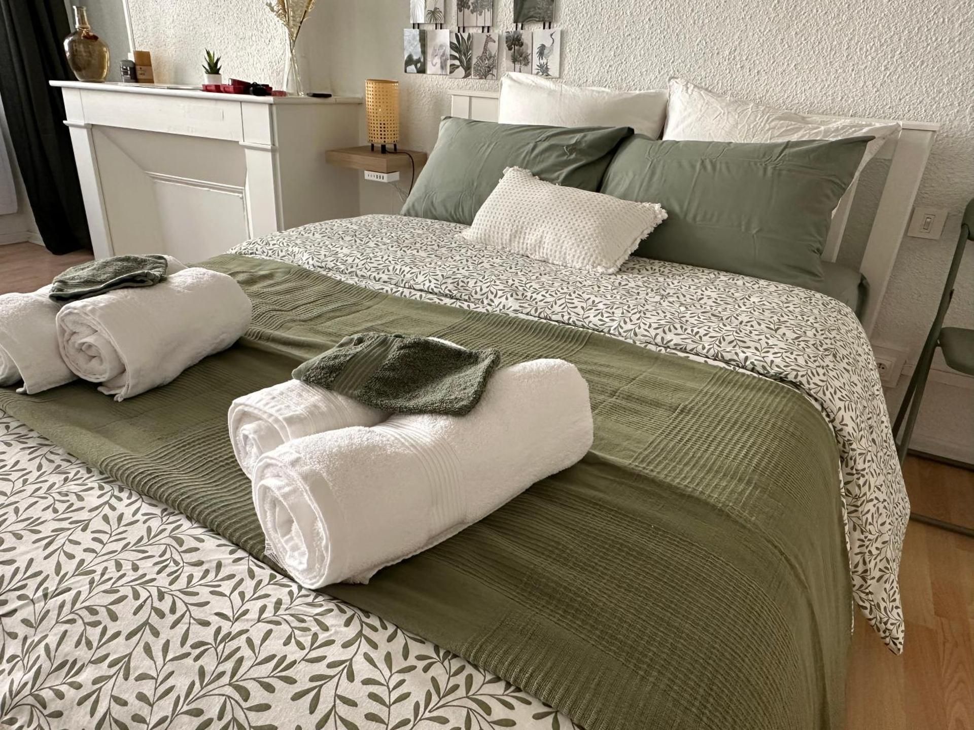Deluxe One-Bedroom Apartment with City View