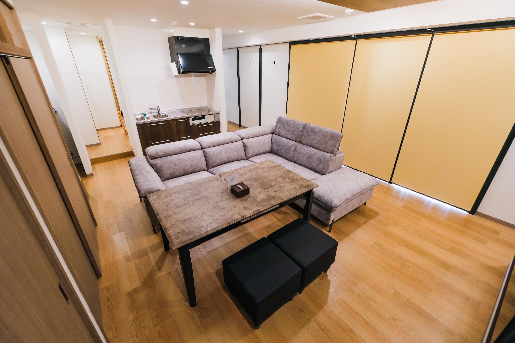 Luxury Apartment