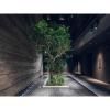 nol kyoto sanjo - Vacation STAY 97690v