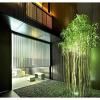 MOGANA - Vacation STAY 59289v