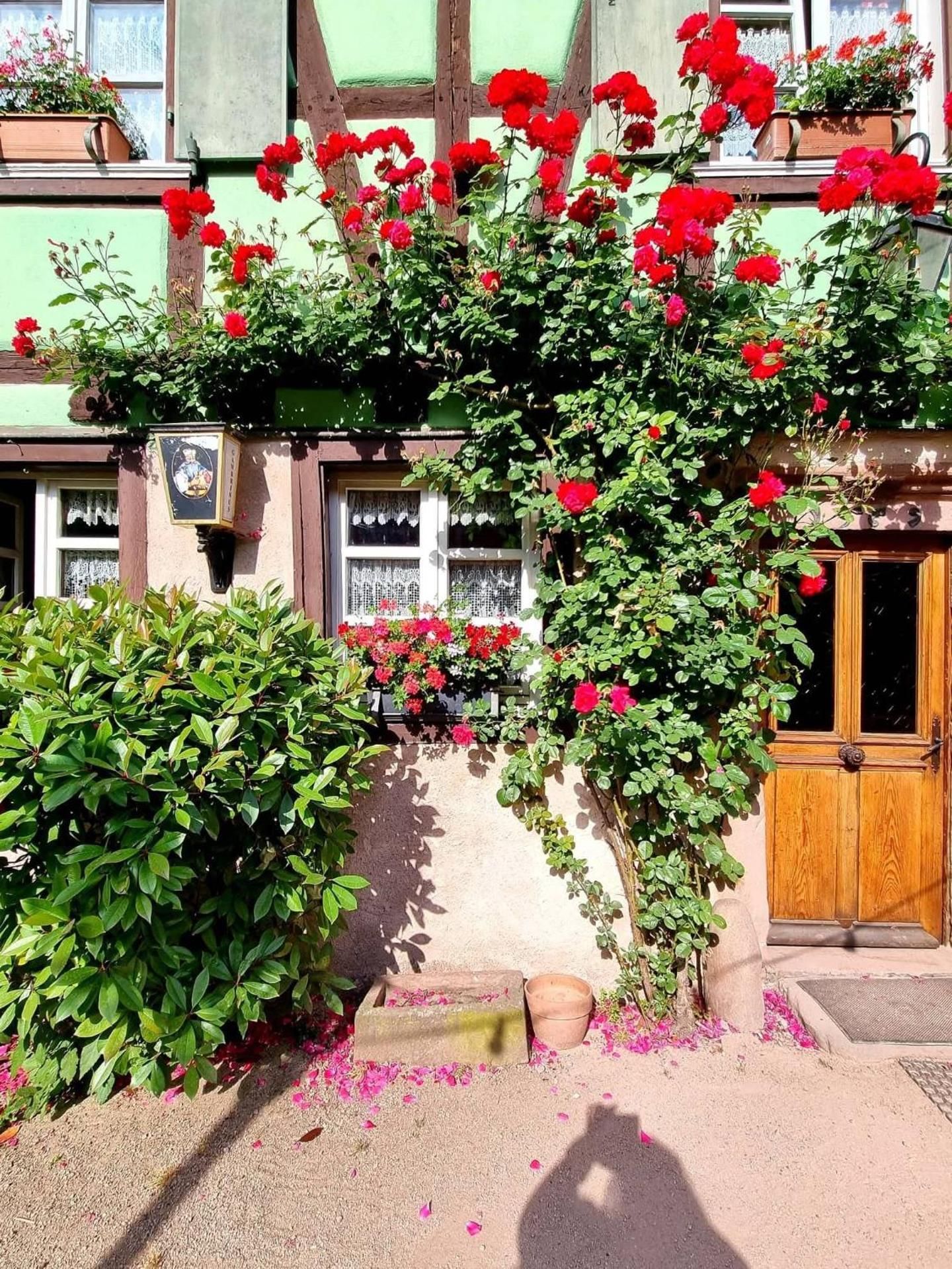 Gîte Gambrinus