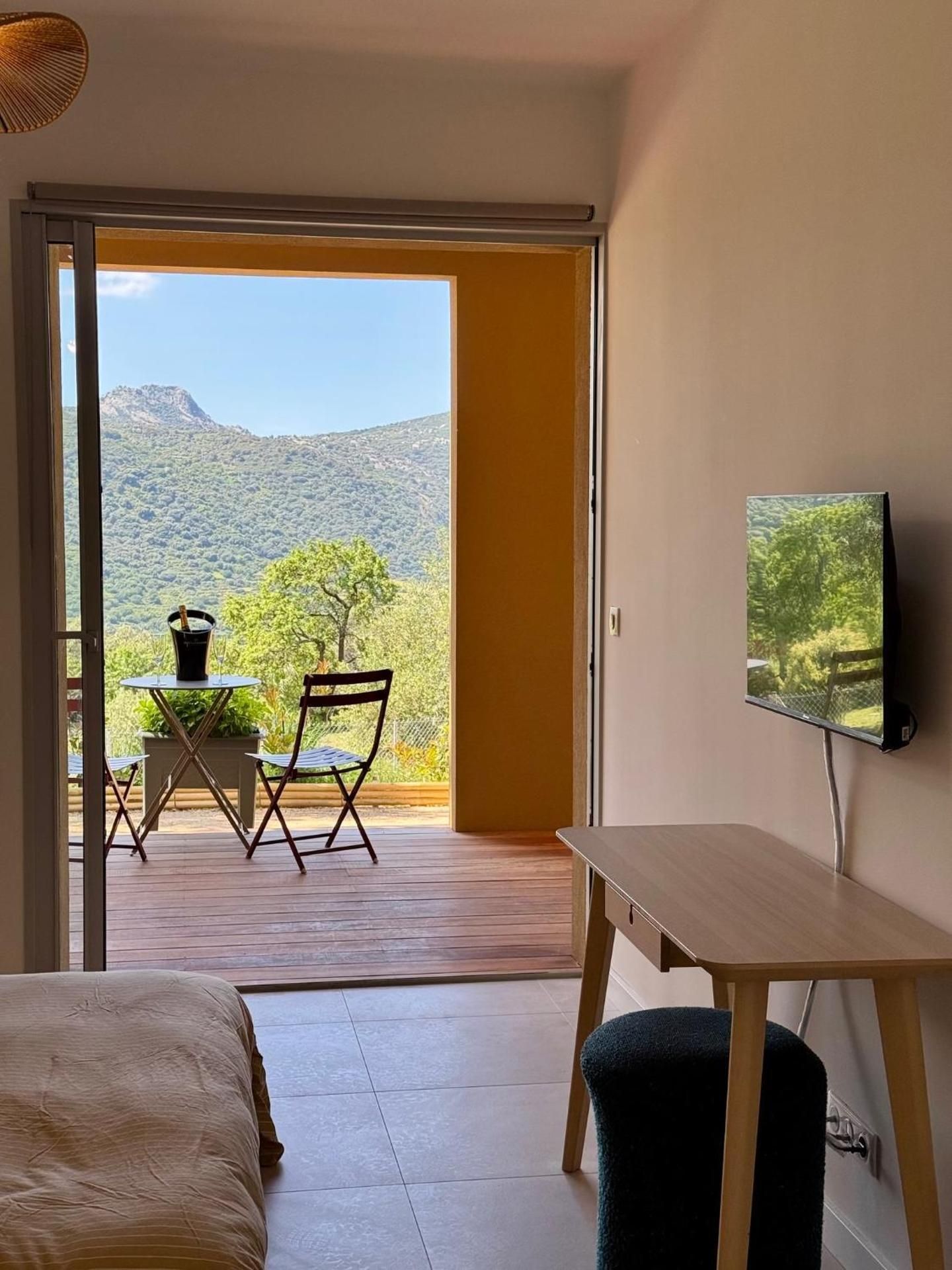 Double Room with Terrace