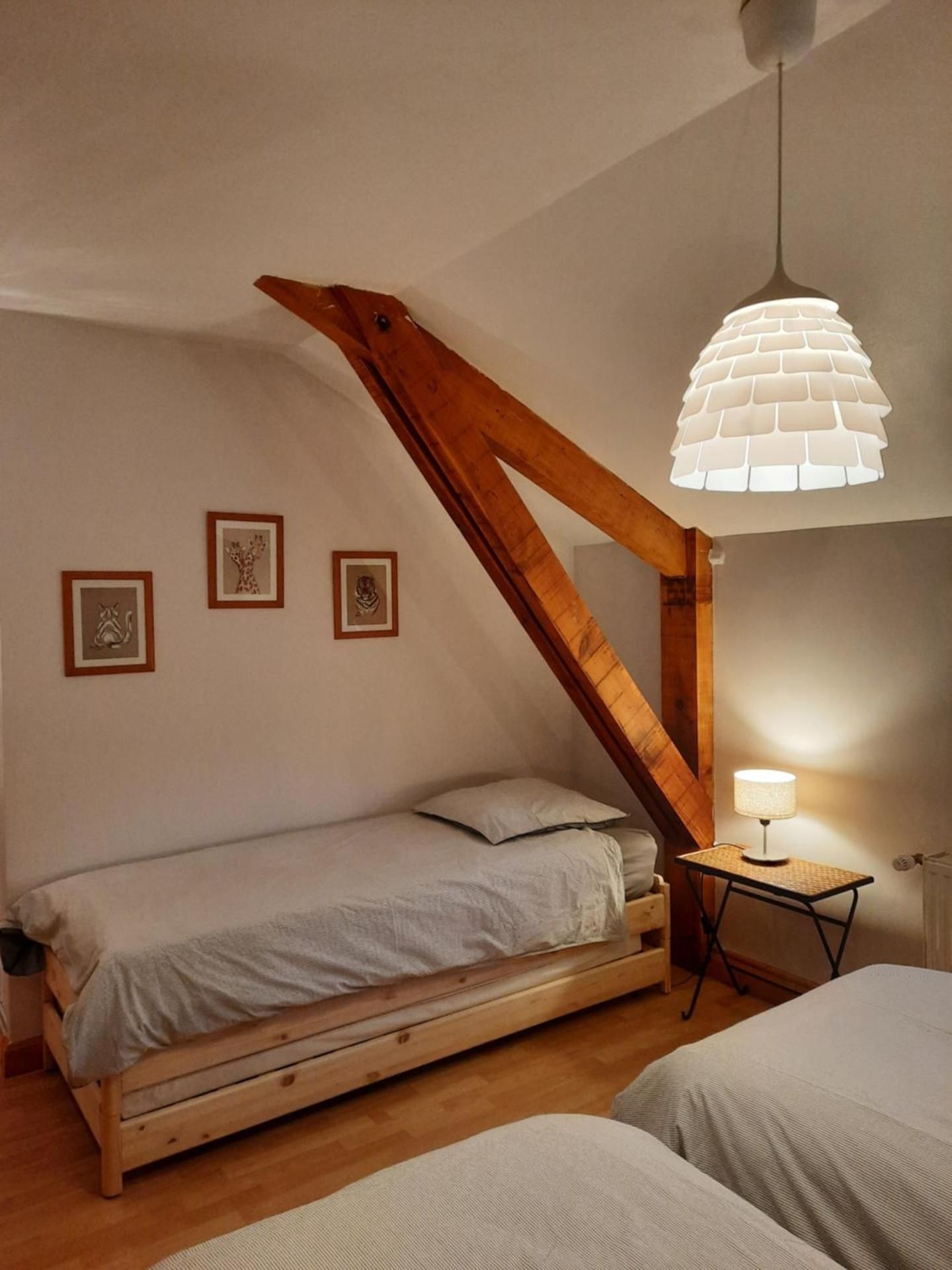 Single Bed in Dormitory Room