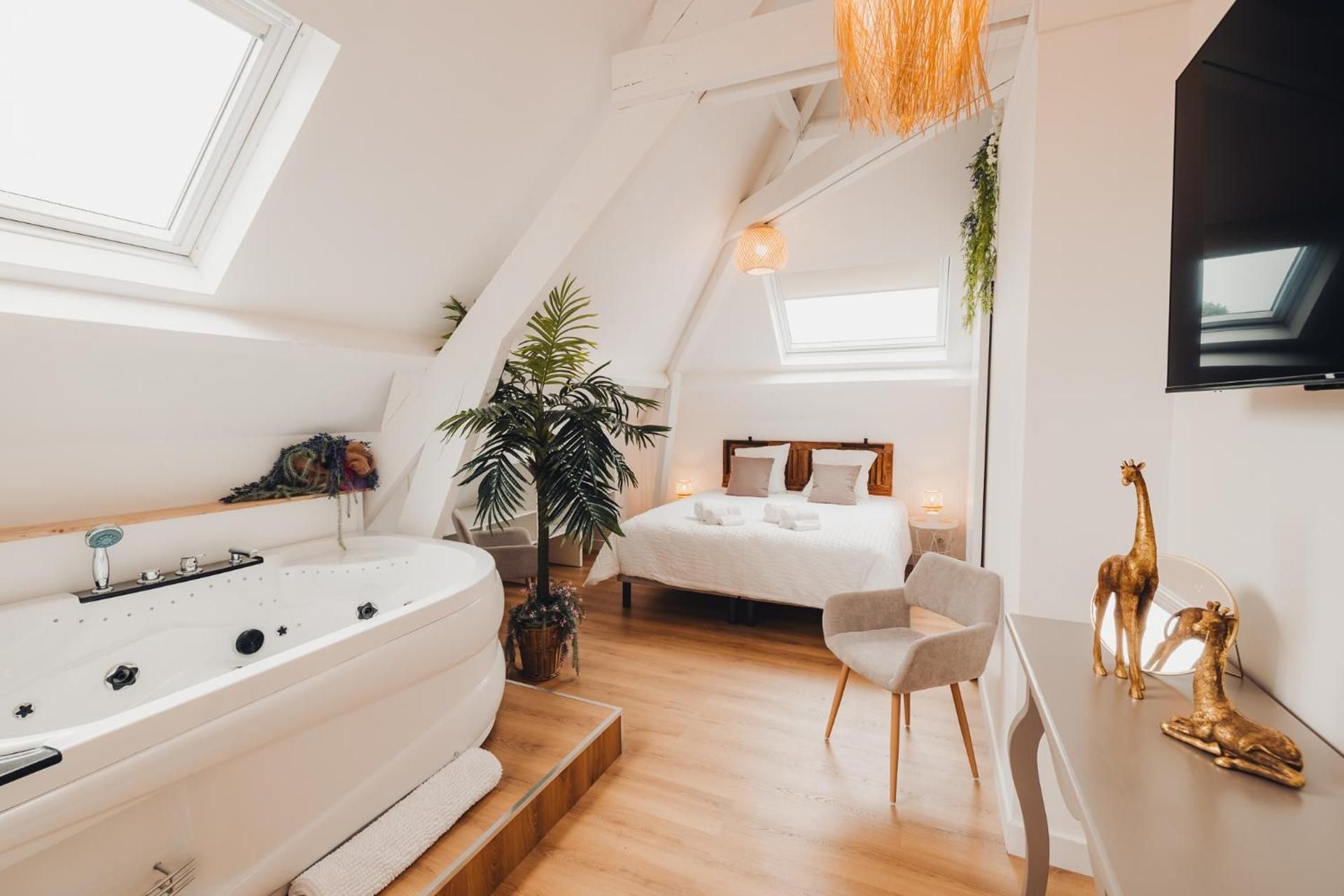 Superior King Room