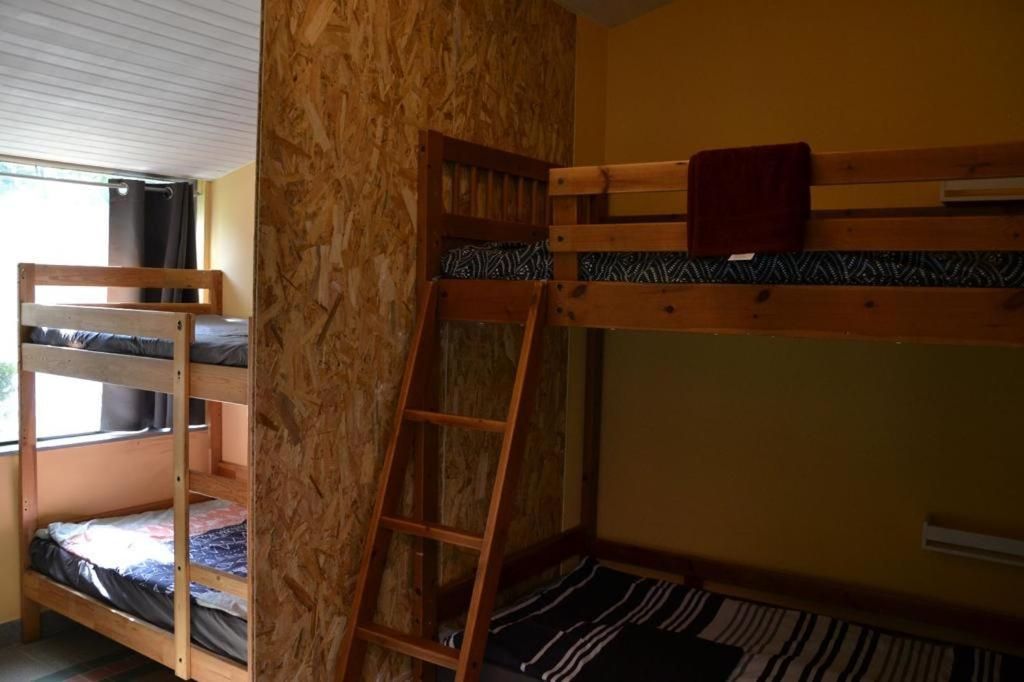 Bunk Bed in Mixed Dormitory Room