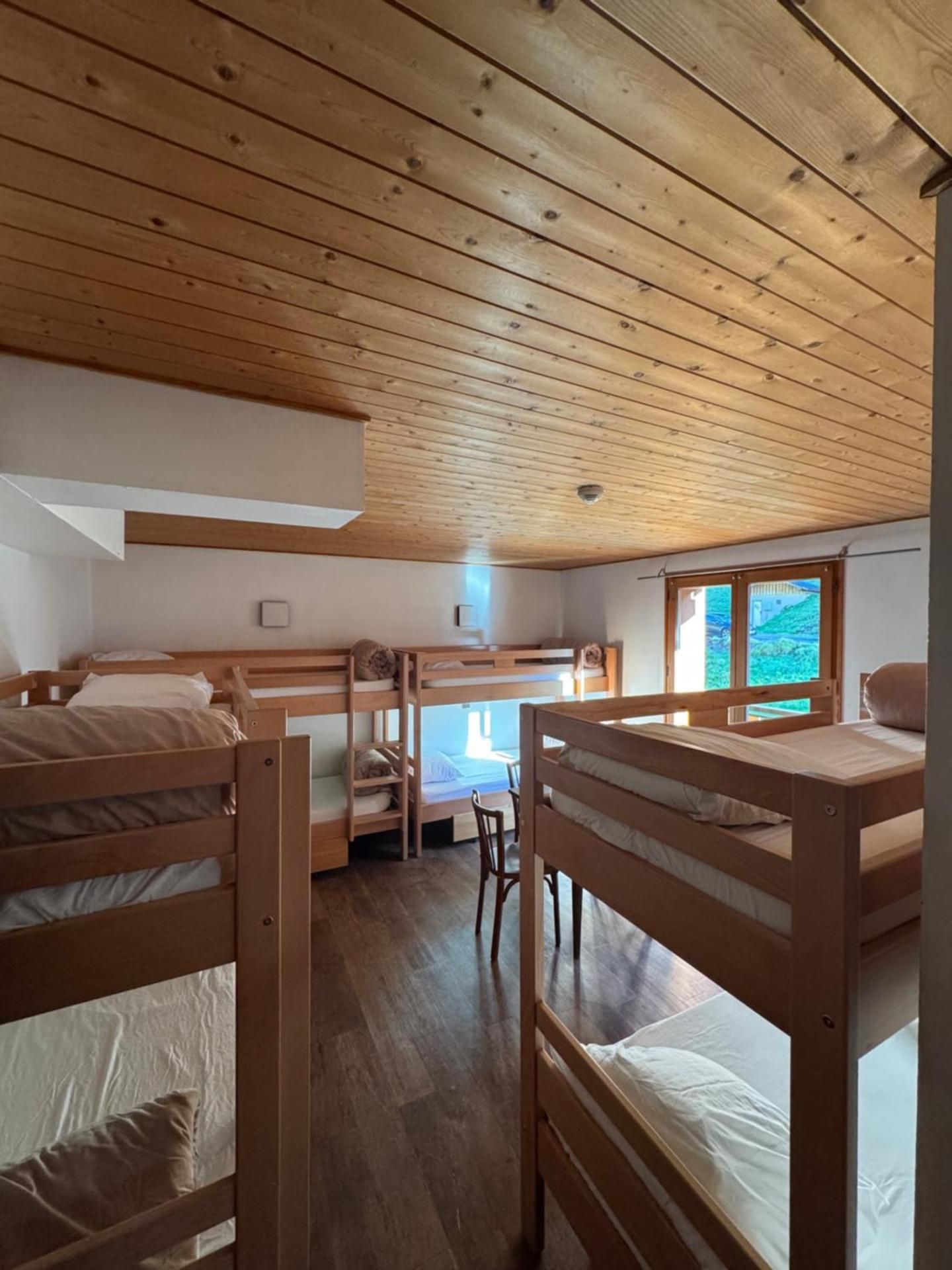Bed in 8-Bed Mixed Dormitory Room