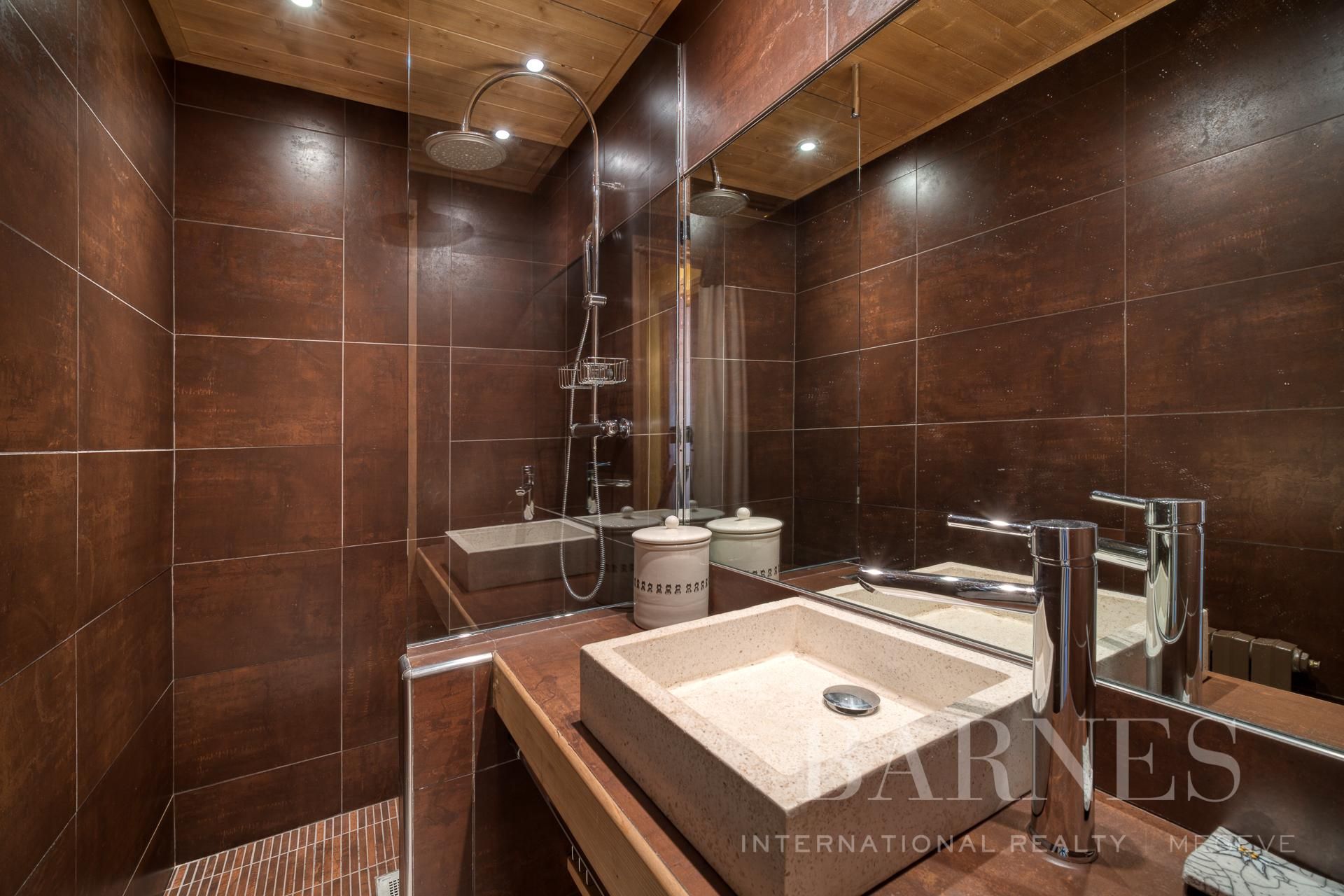 Marmotte-Appartement-Salle de bain-Vue sur Montagne