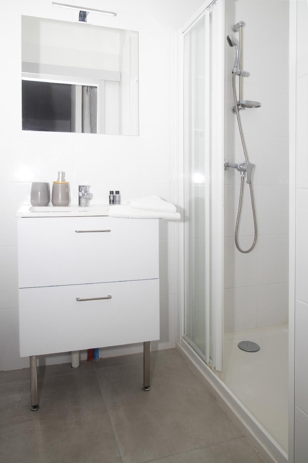 Appartement-1 chambre-Design-Salle de bain privée séparée