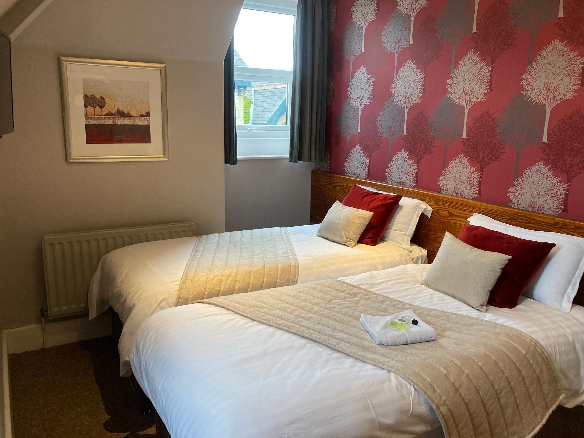 The Bulls Head Quad room-Superior-Ensuite-Twin or Family