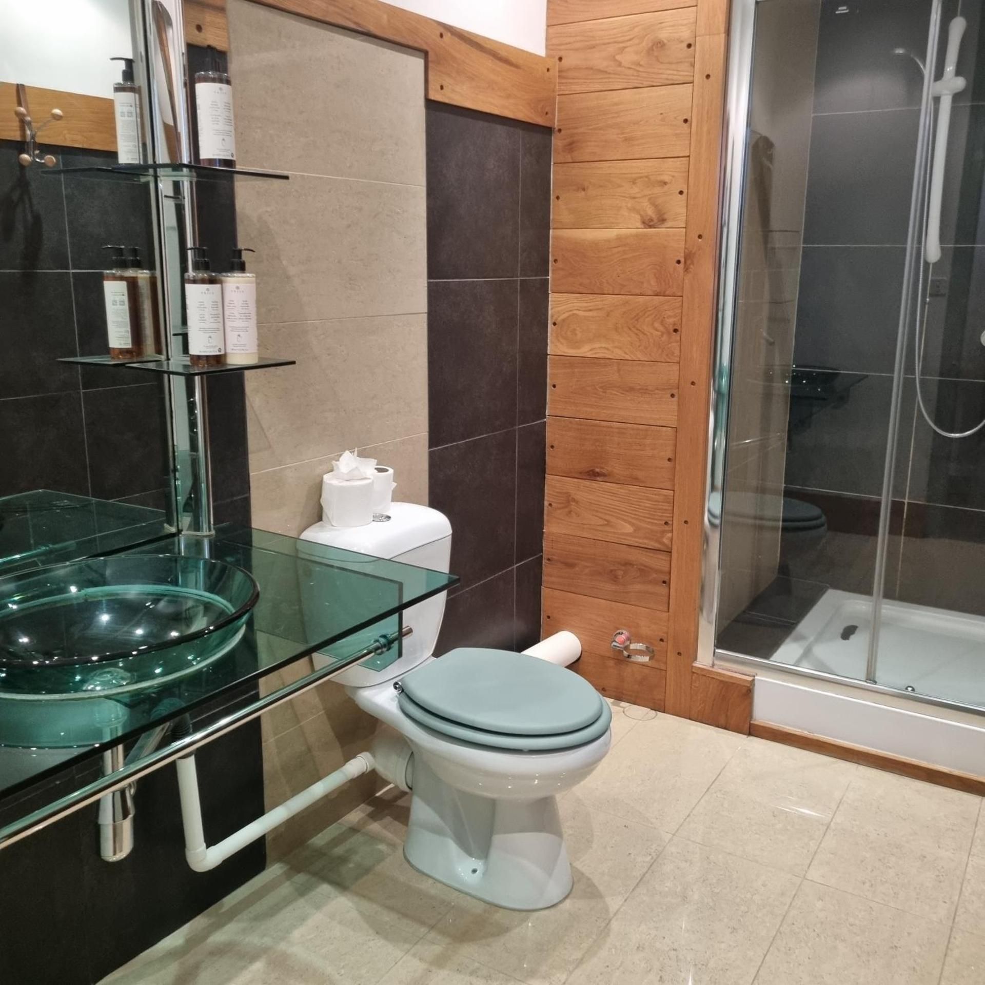Deluxe Double or Twin Room with River View