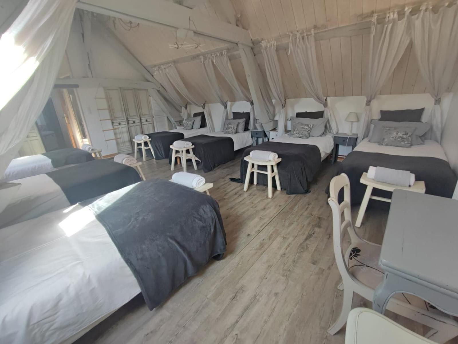 6-Bed Mixed Dormitory Room