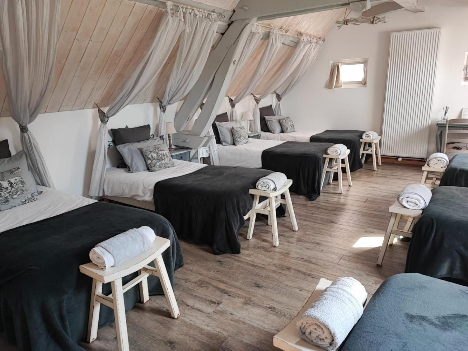 6-Bed Mixed Dormitory Room