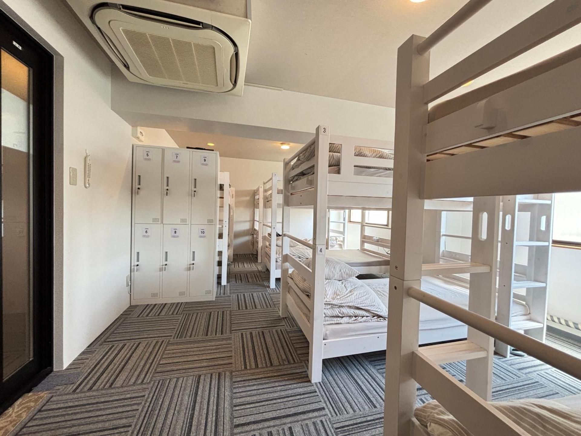Bunk Bed in Mixed Dormitory Room