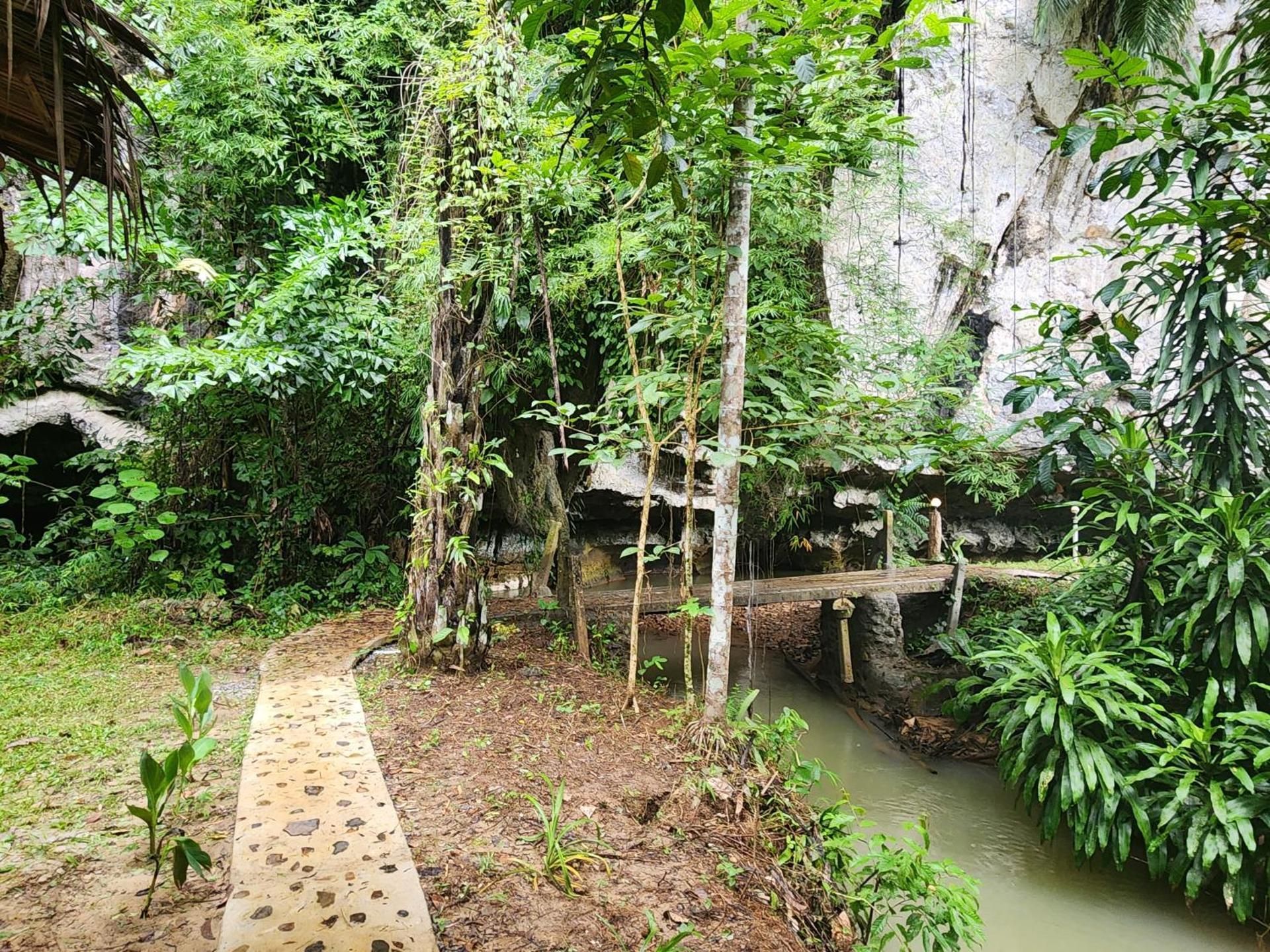 Bungalow - Water Front 