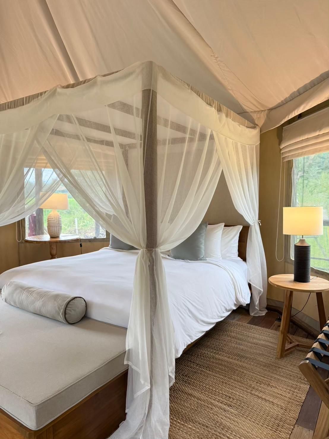 Deluxe Studio Safari Tent