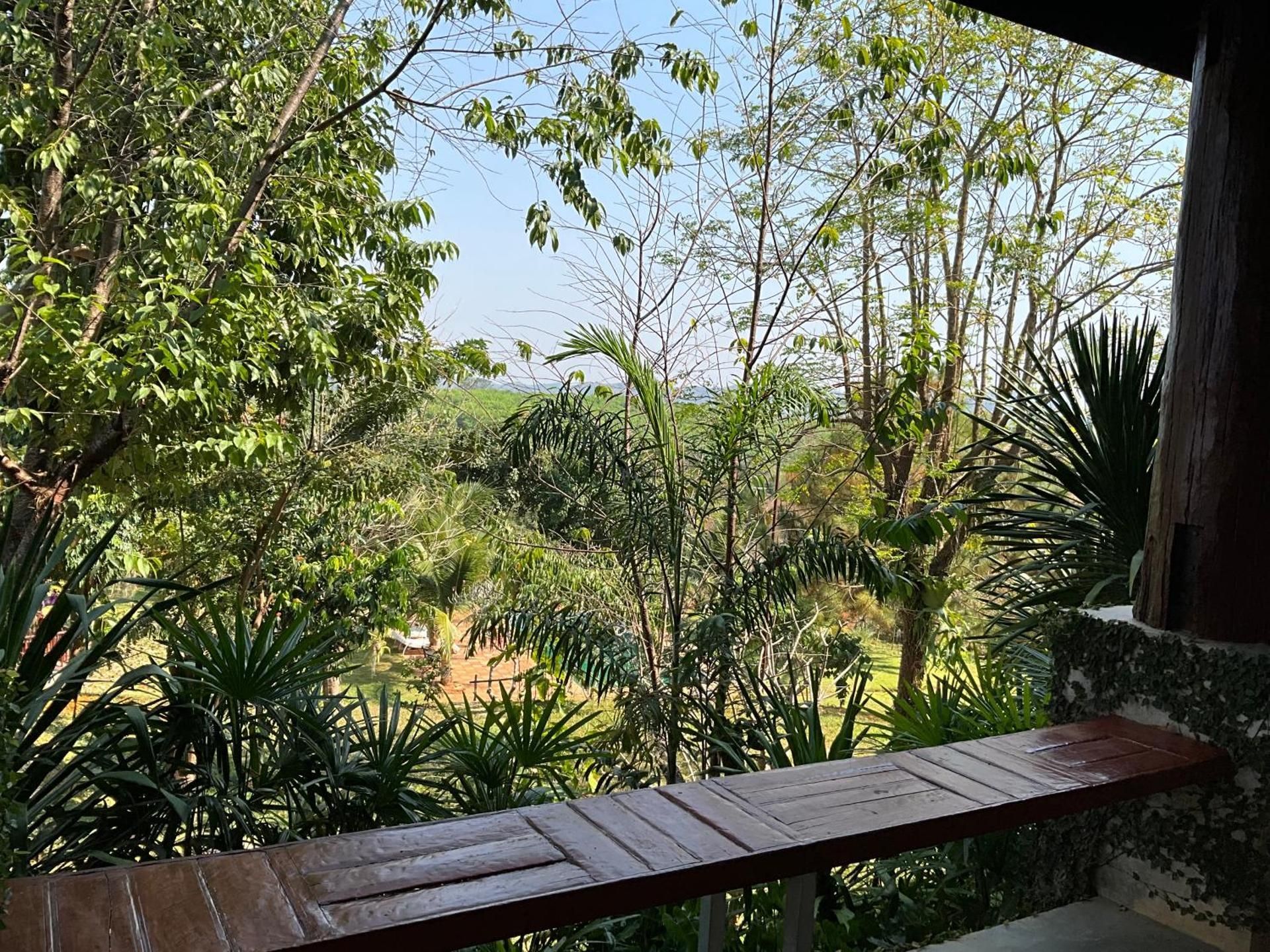 Double Room with Garden View