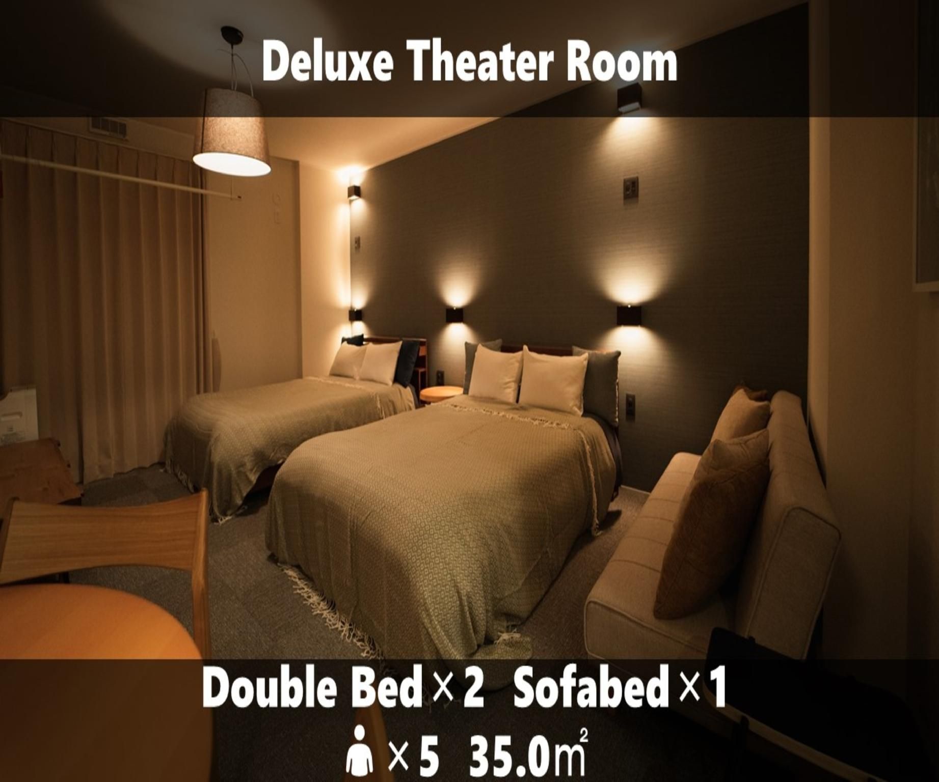 Deluxe Theater Room