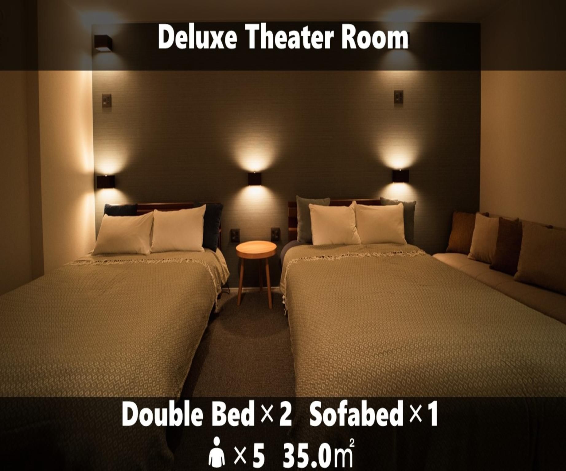 Deluxe Theater Room