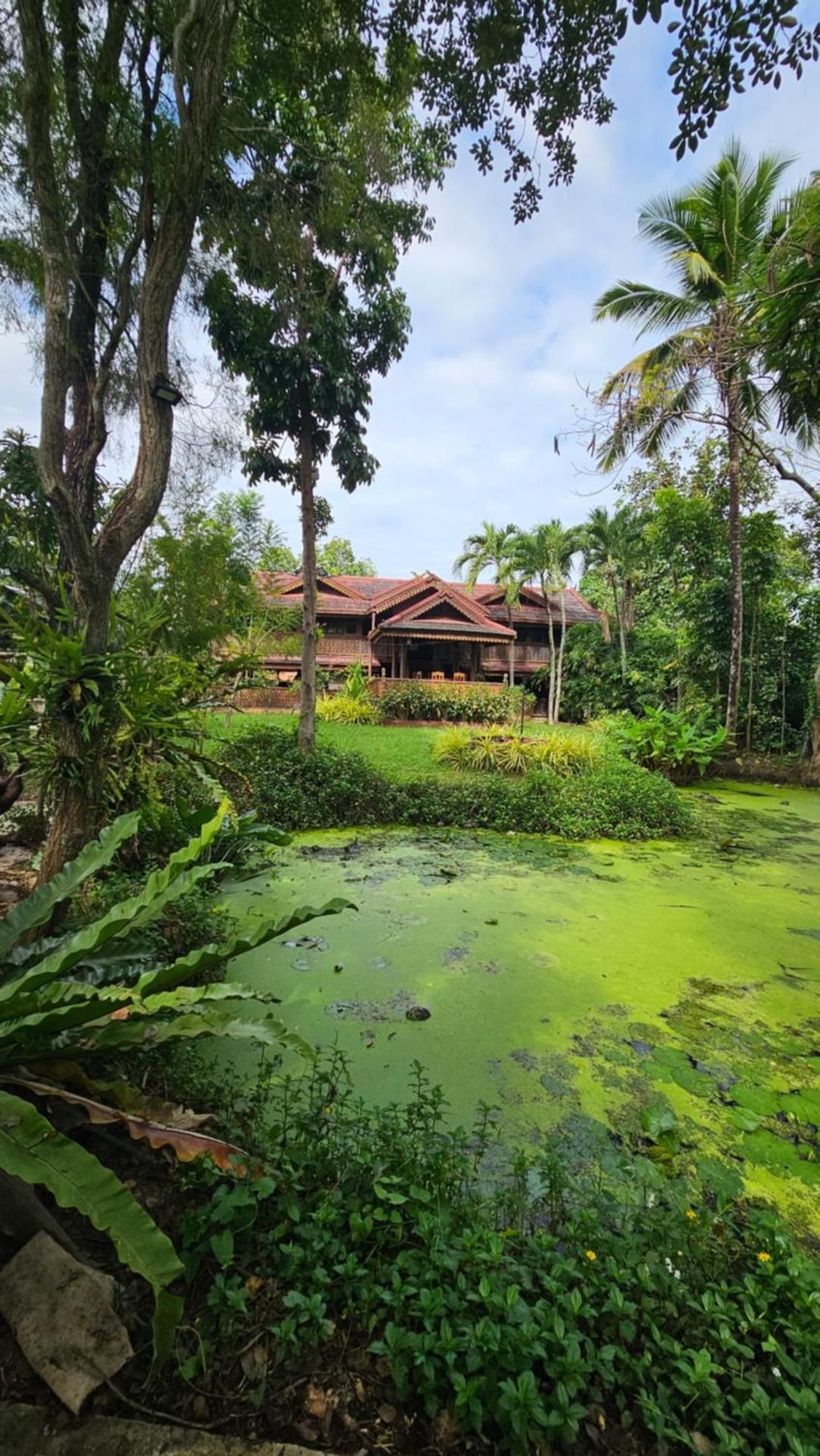 surrounding environment