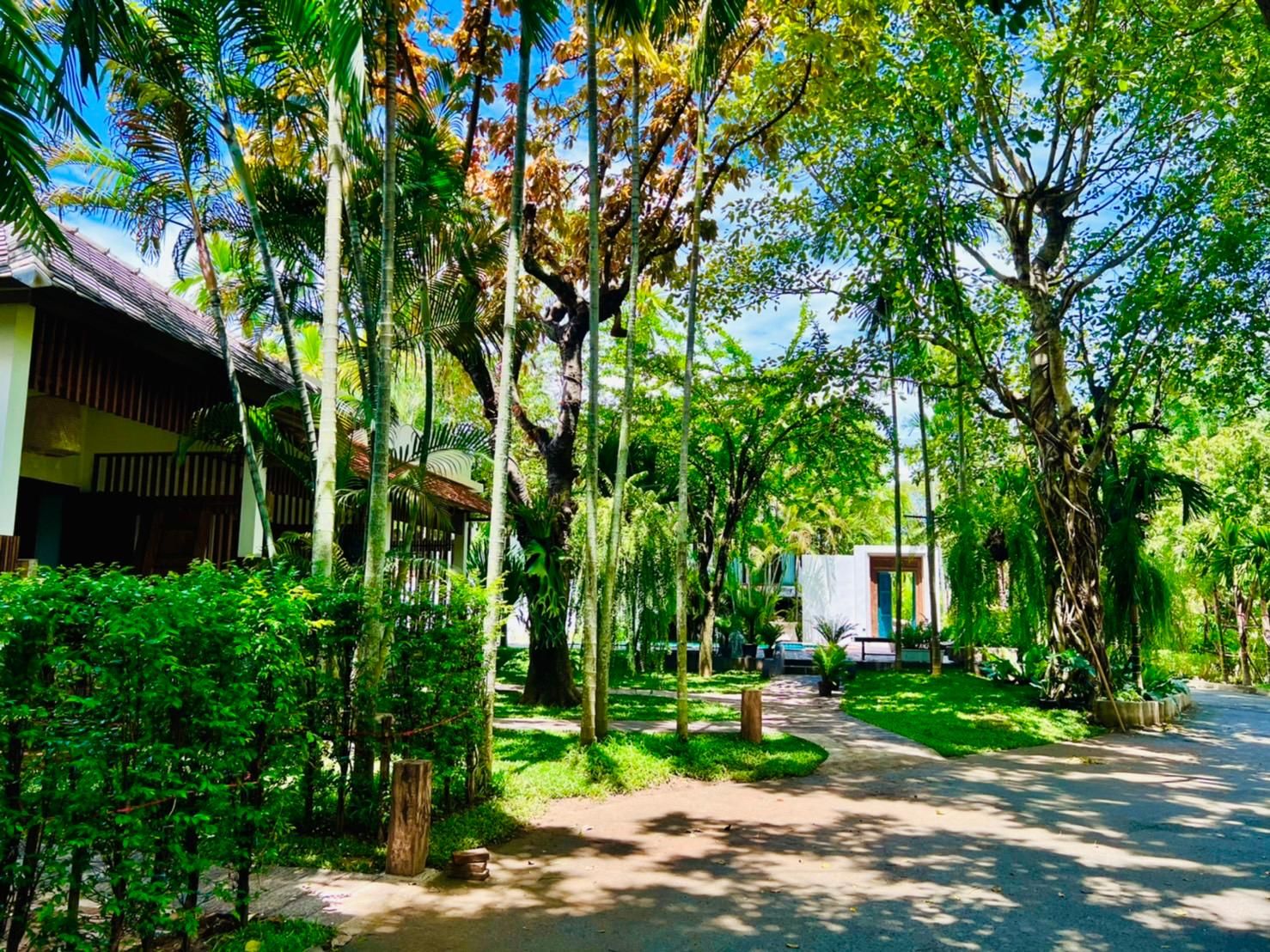 surrounding environment