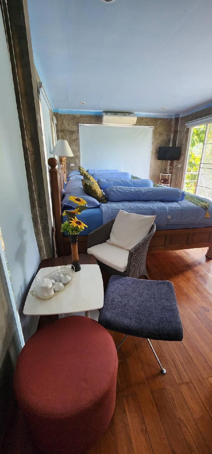 Standard Mountain View