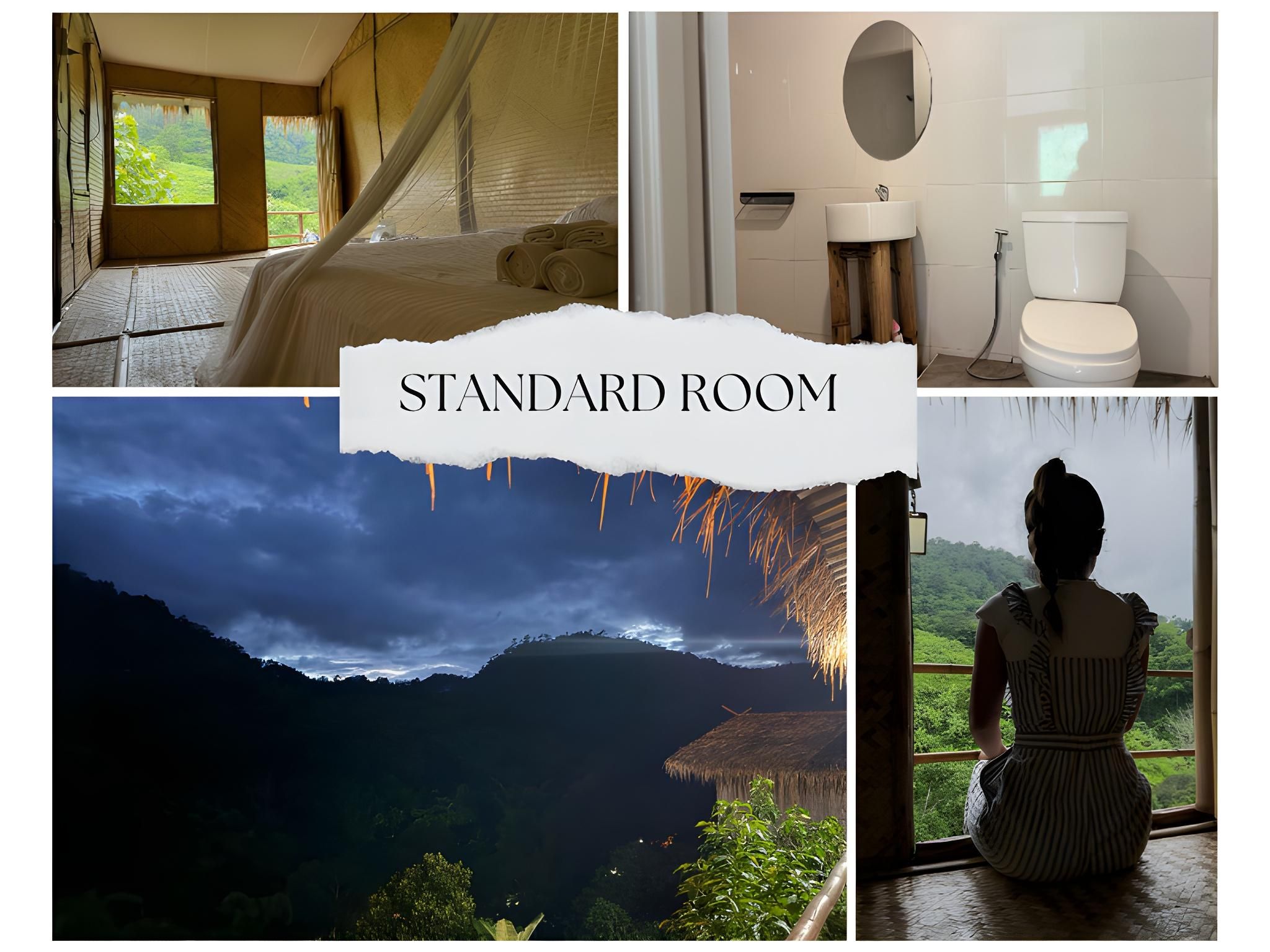 Standard Mountain View Double Room