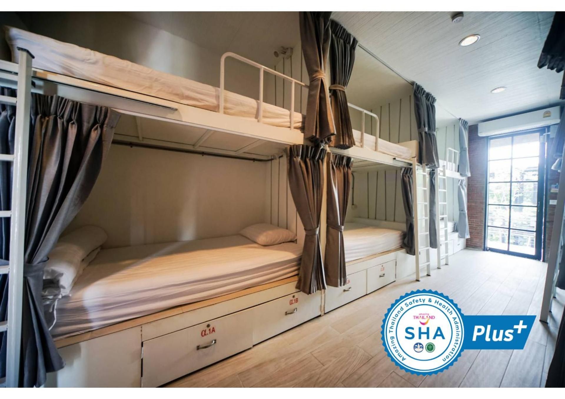 Lower Single Bed in Mixed Dormitory Room