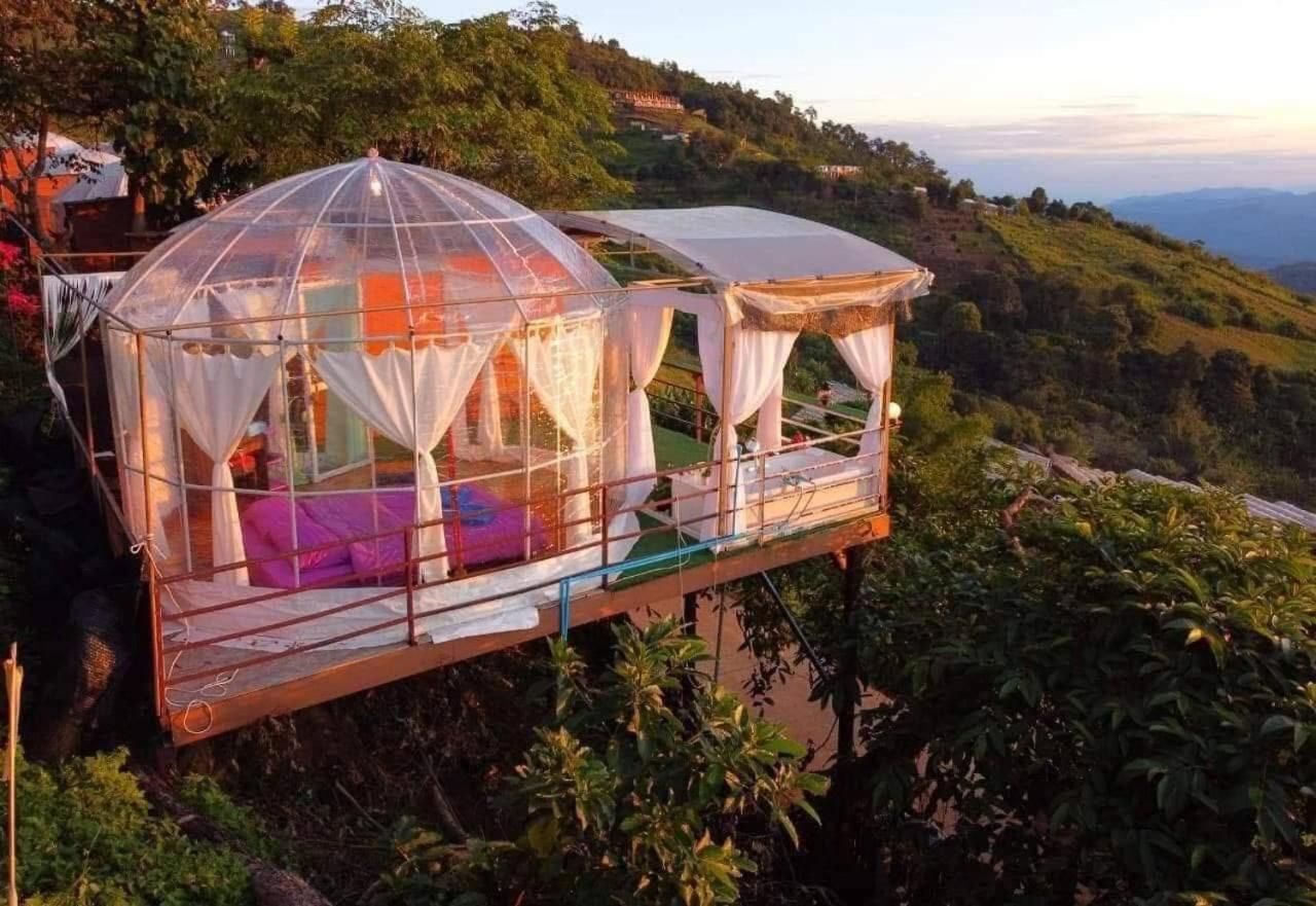 ภูปานจั่น โฮมสเตย์