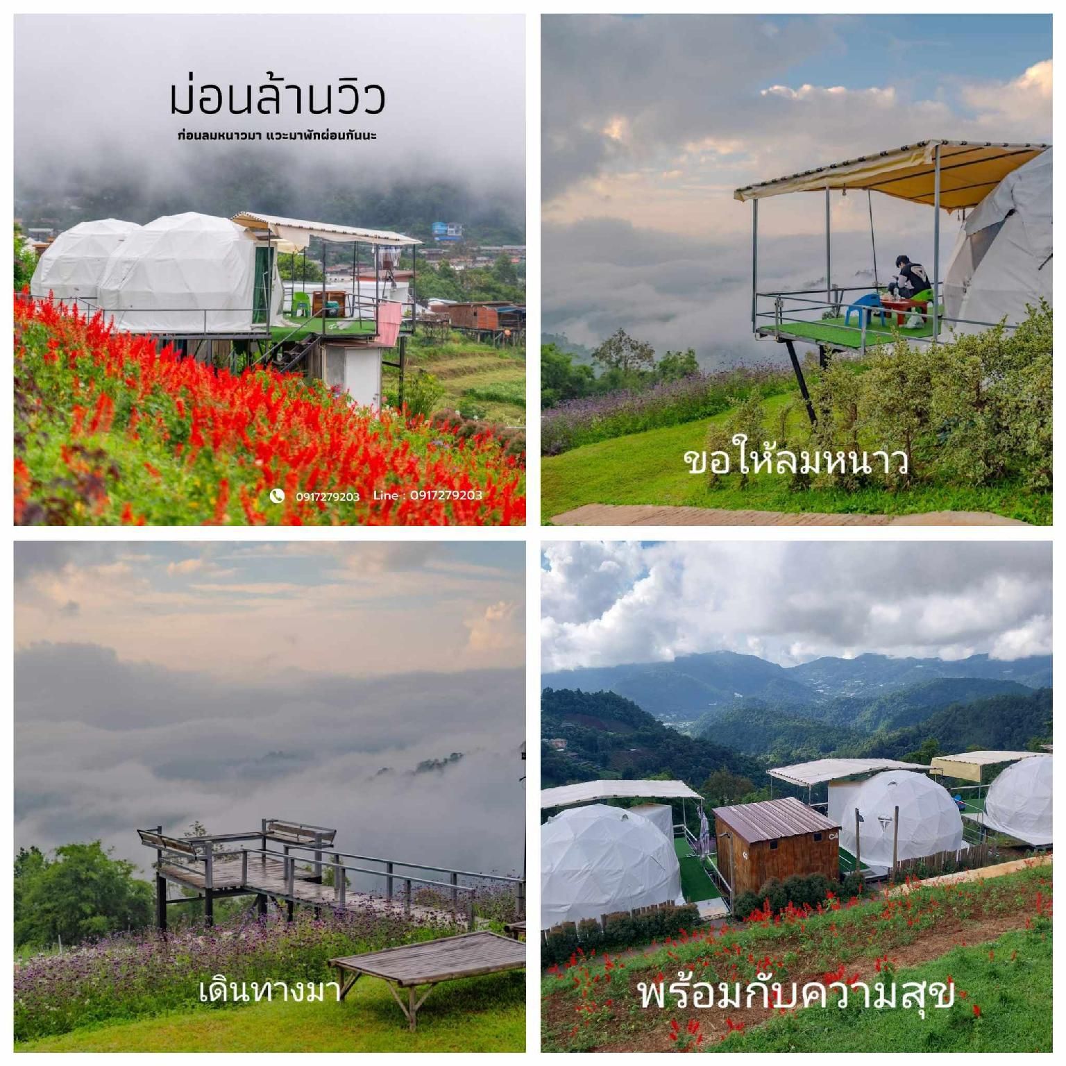 Garden View Terrace Room