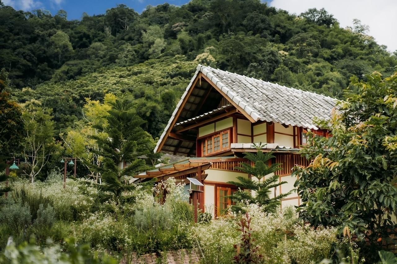 Mori Natural Farm