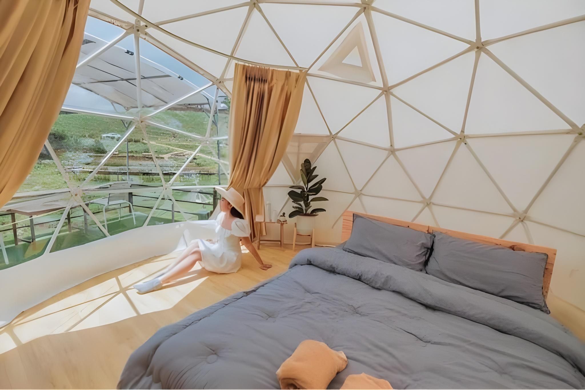 Standard Mountain View
