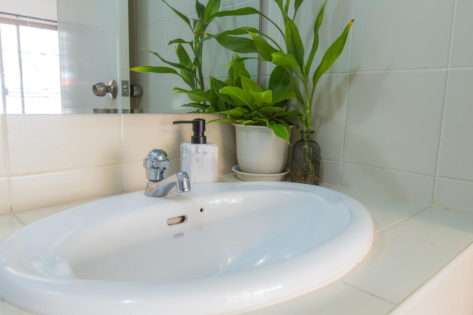 The Little Siri King Superior 3